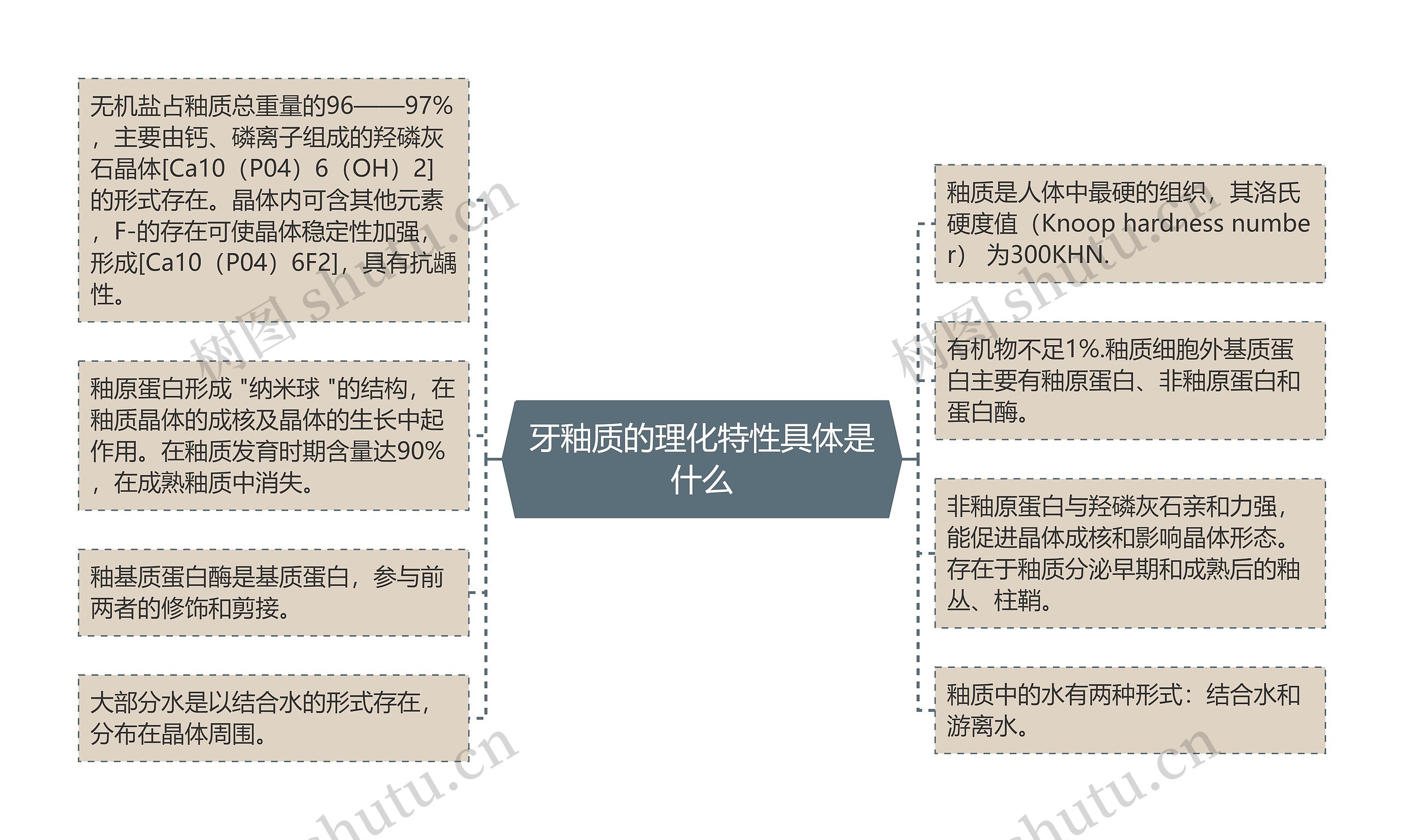 牙釉质的理化特性具体是什么思维导图