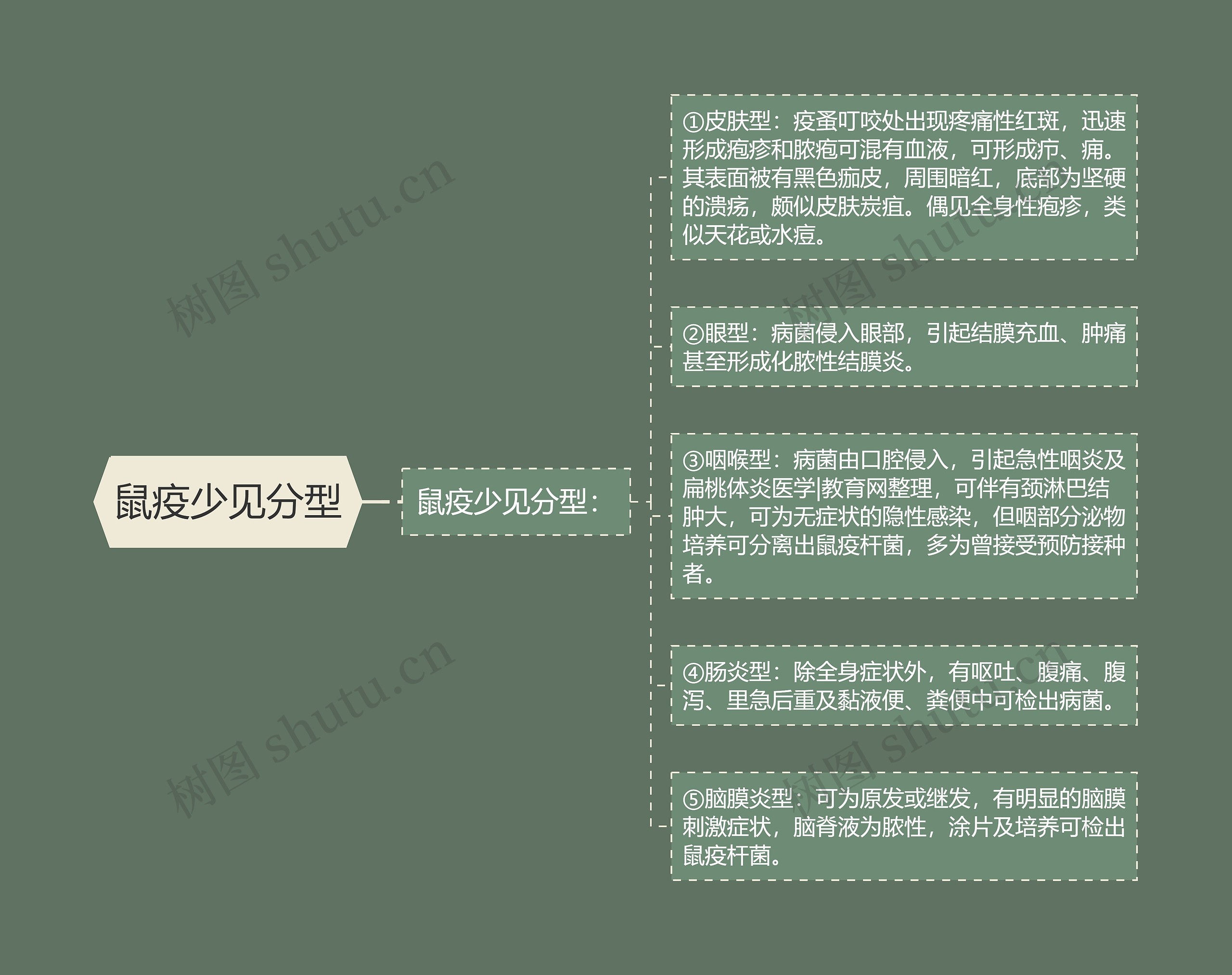 鼠疫少见分型思维导图