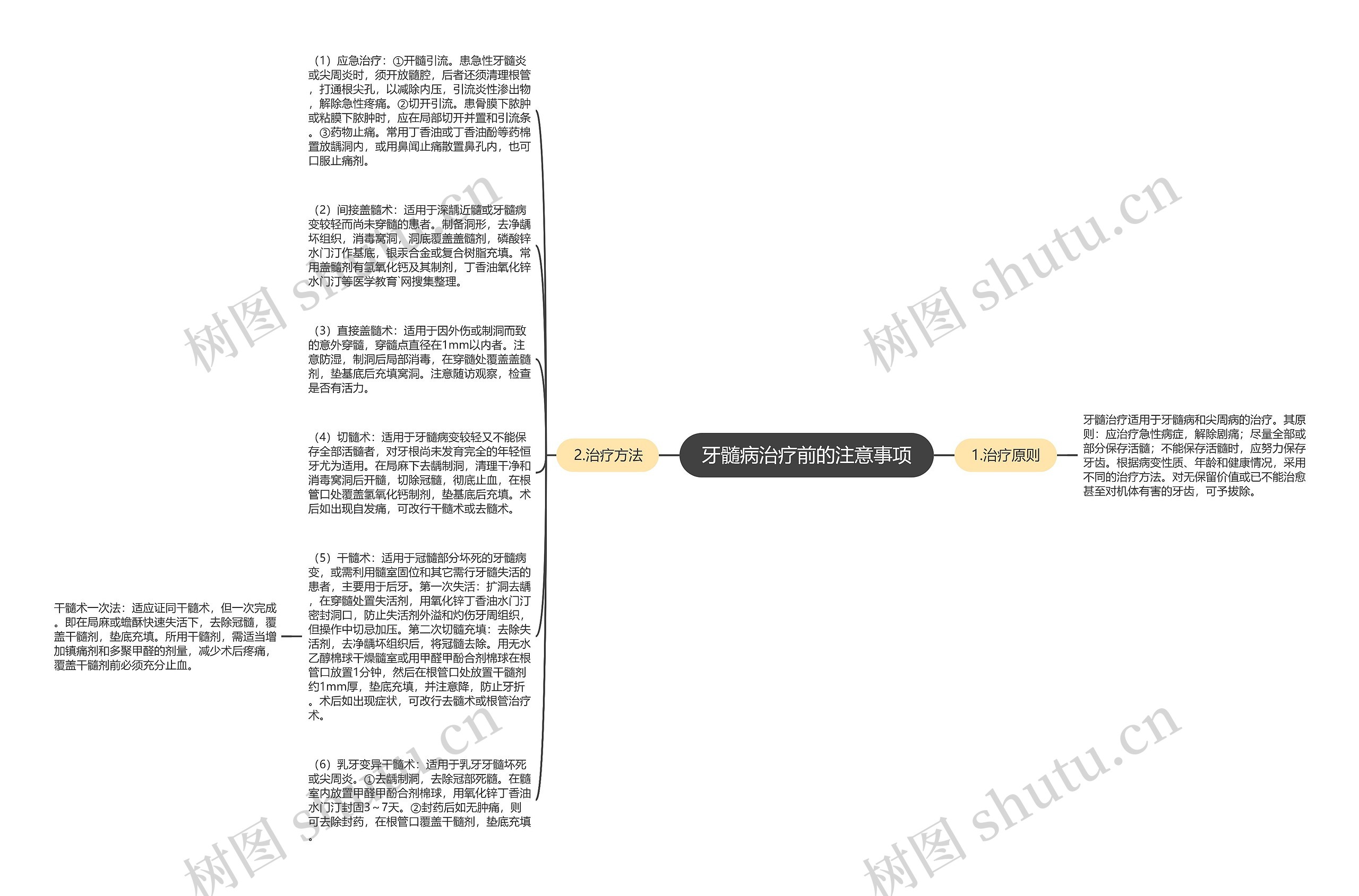 牙髓病治疗前的注意事项思维导图