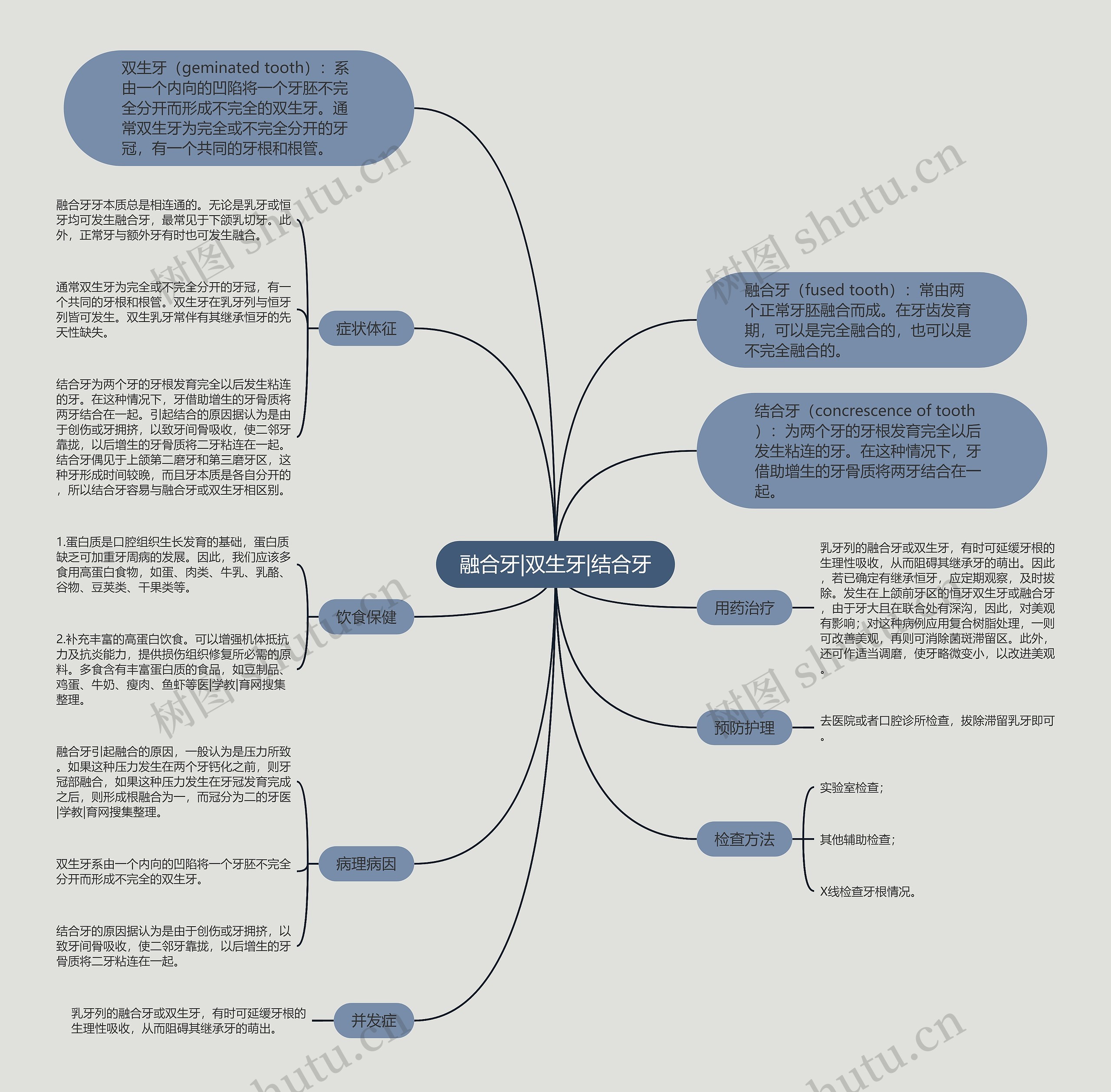 融合牙|双生牙|结合牙思维导图