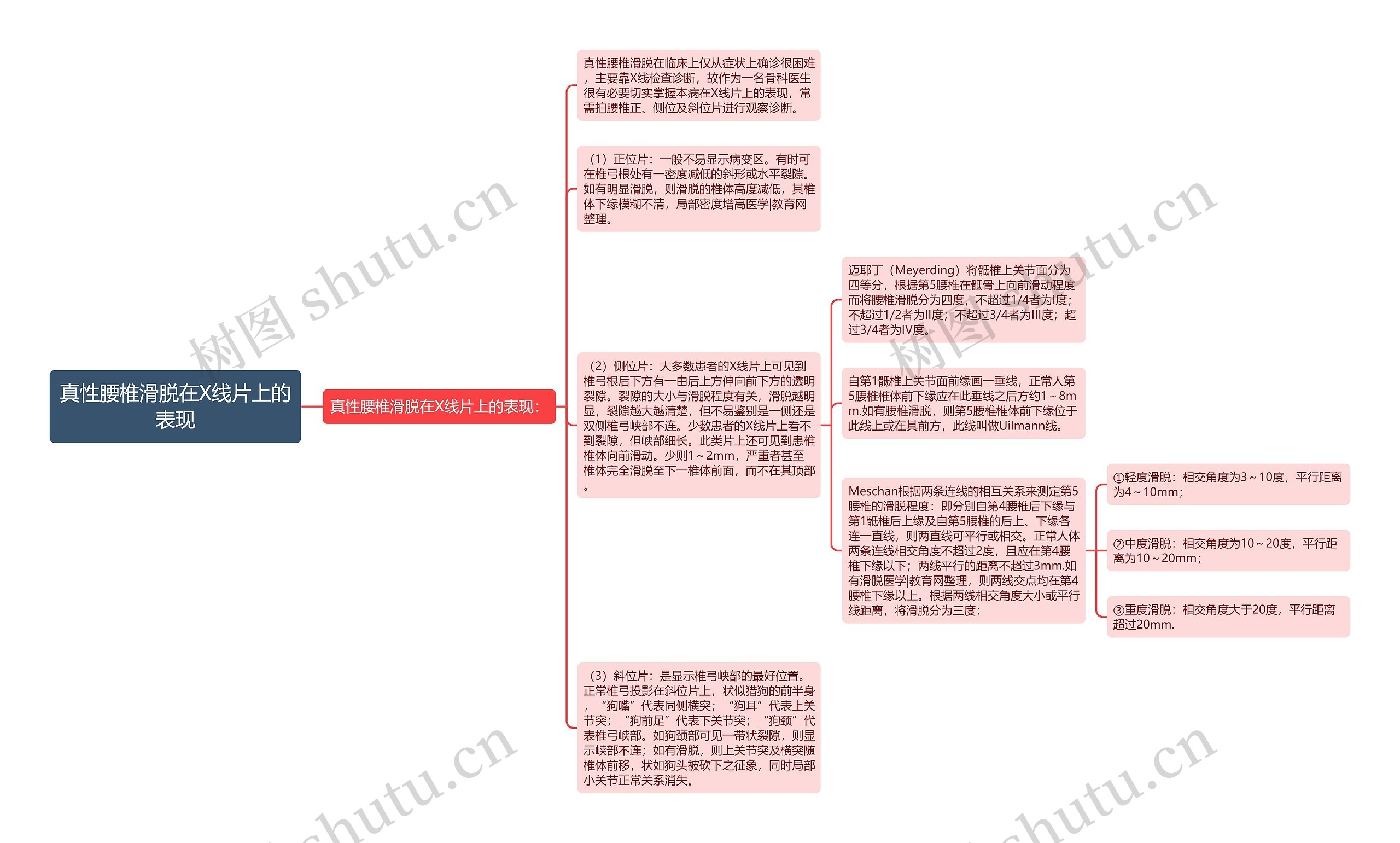 真性腰椎滑脱在X线片上的表现思维导图