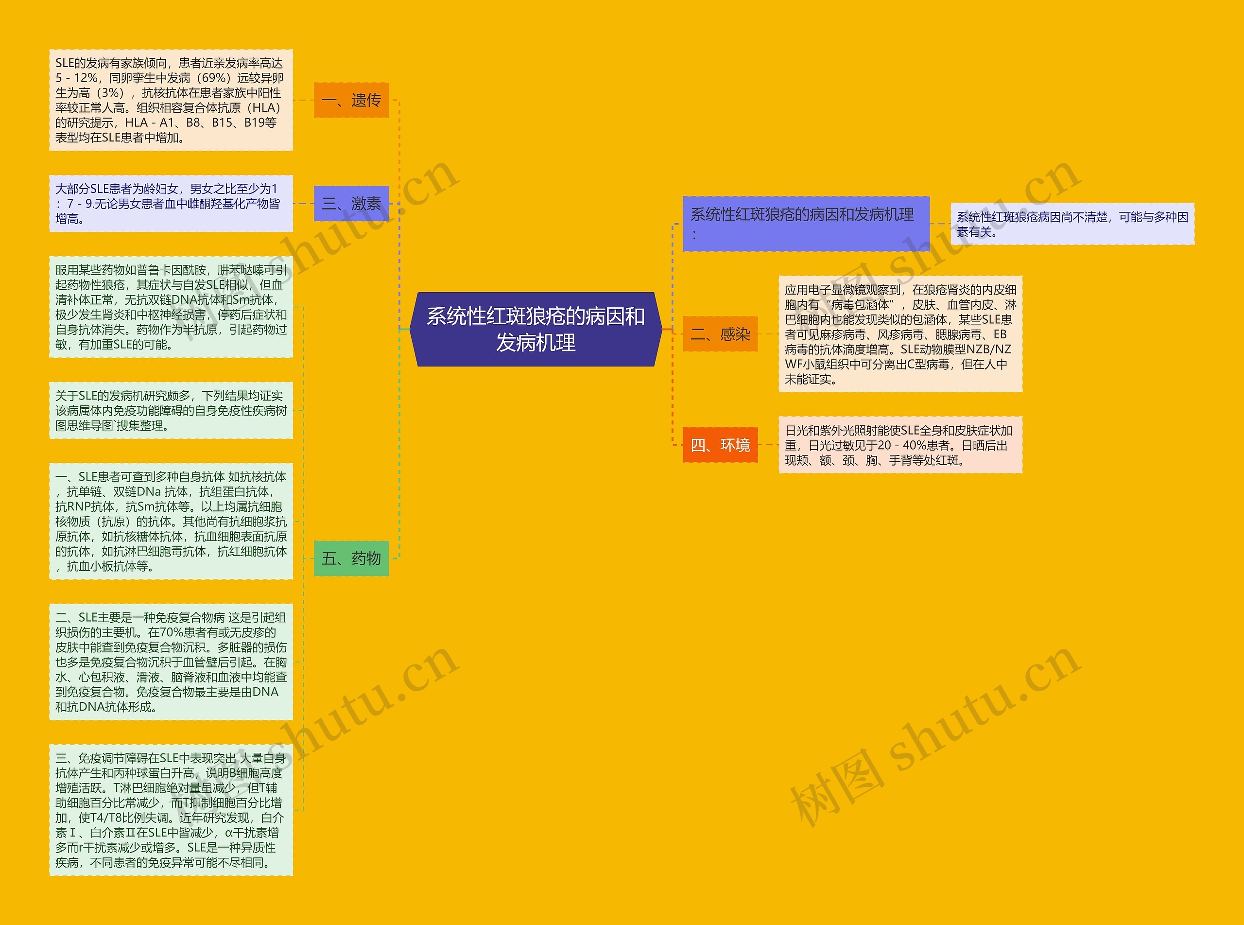 系统性红斑狼疮的病因和发病机理思维导图