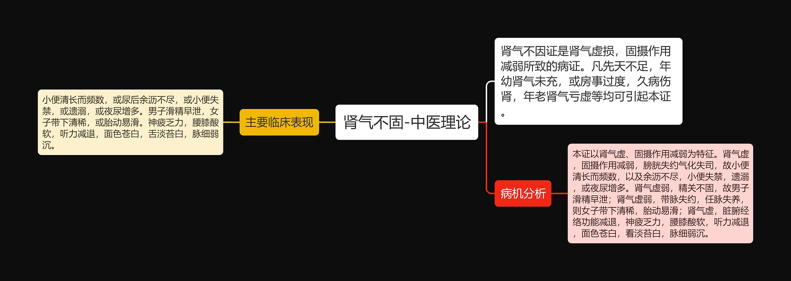 肾气不固-中医理论思维导图