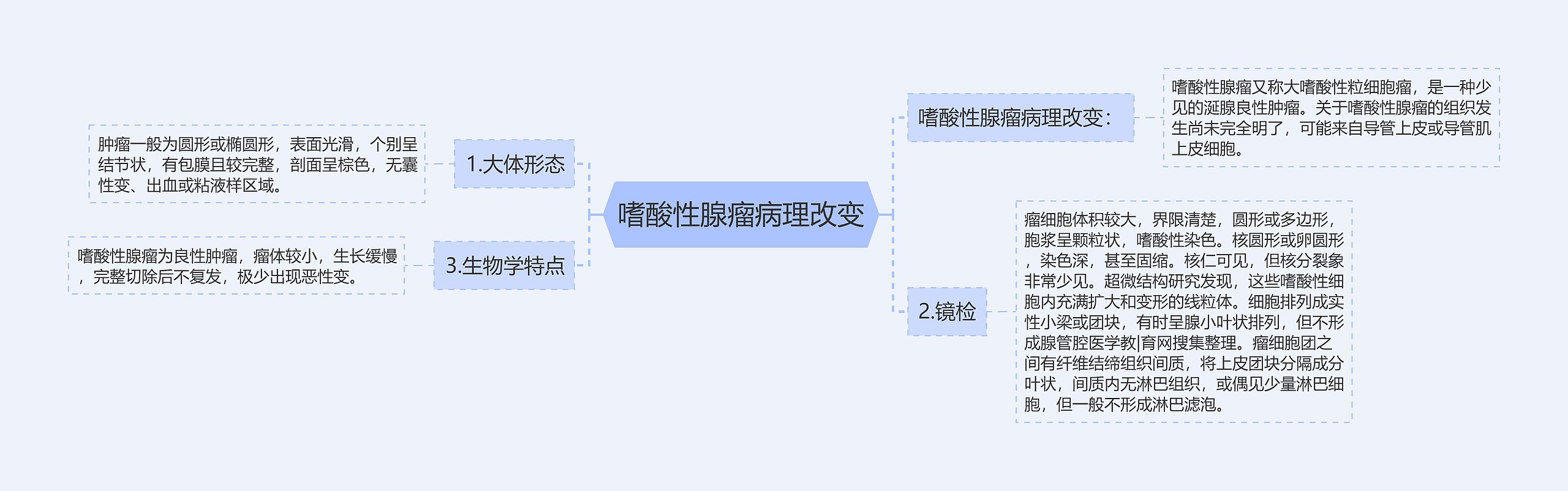 嗜酸性腺瘤病理改变思维导图