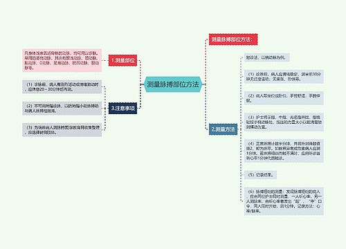 测量脉搏部位方法