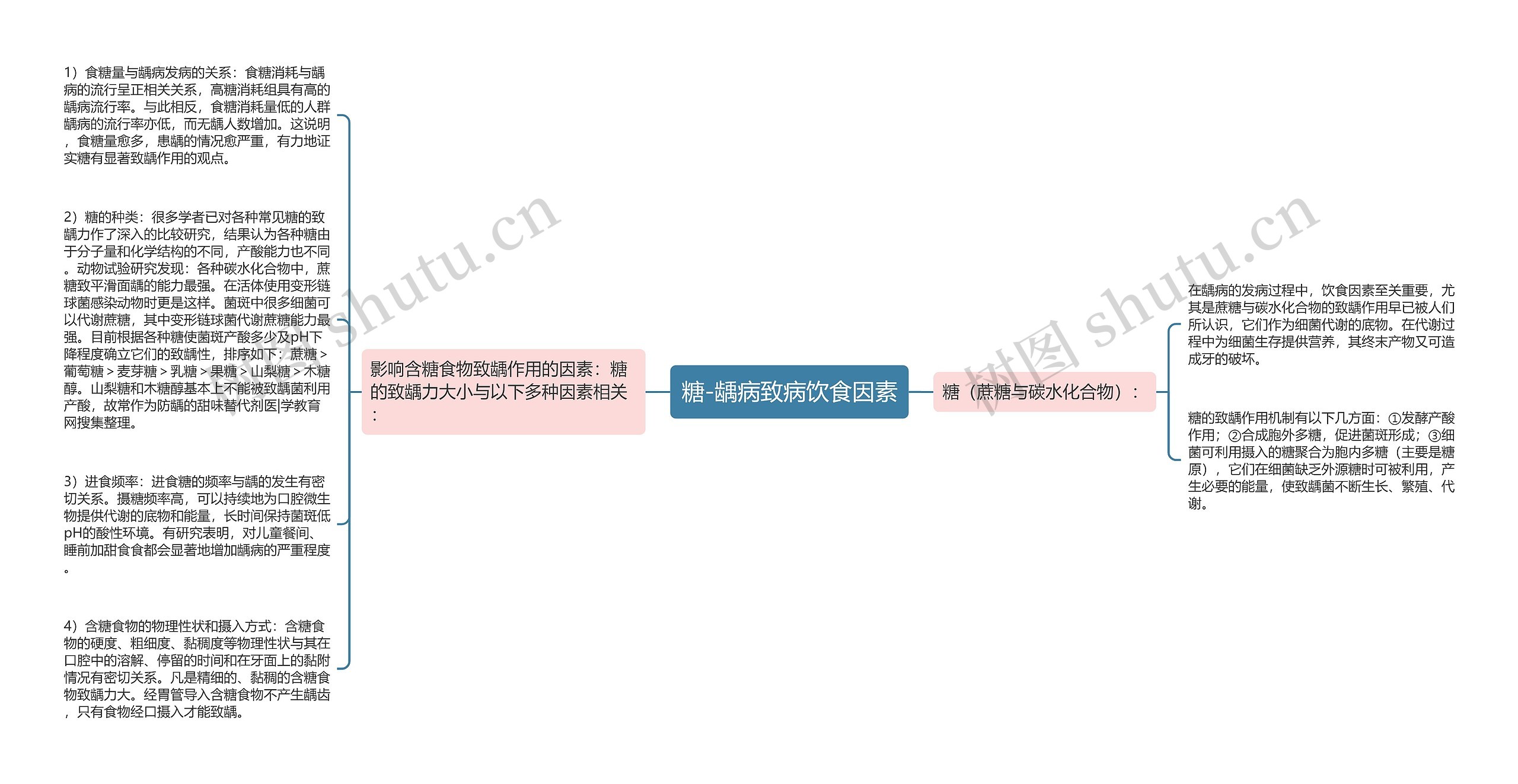 糖-龋病致病饮食因素思维导图