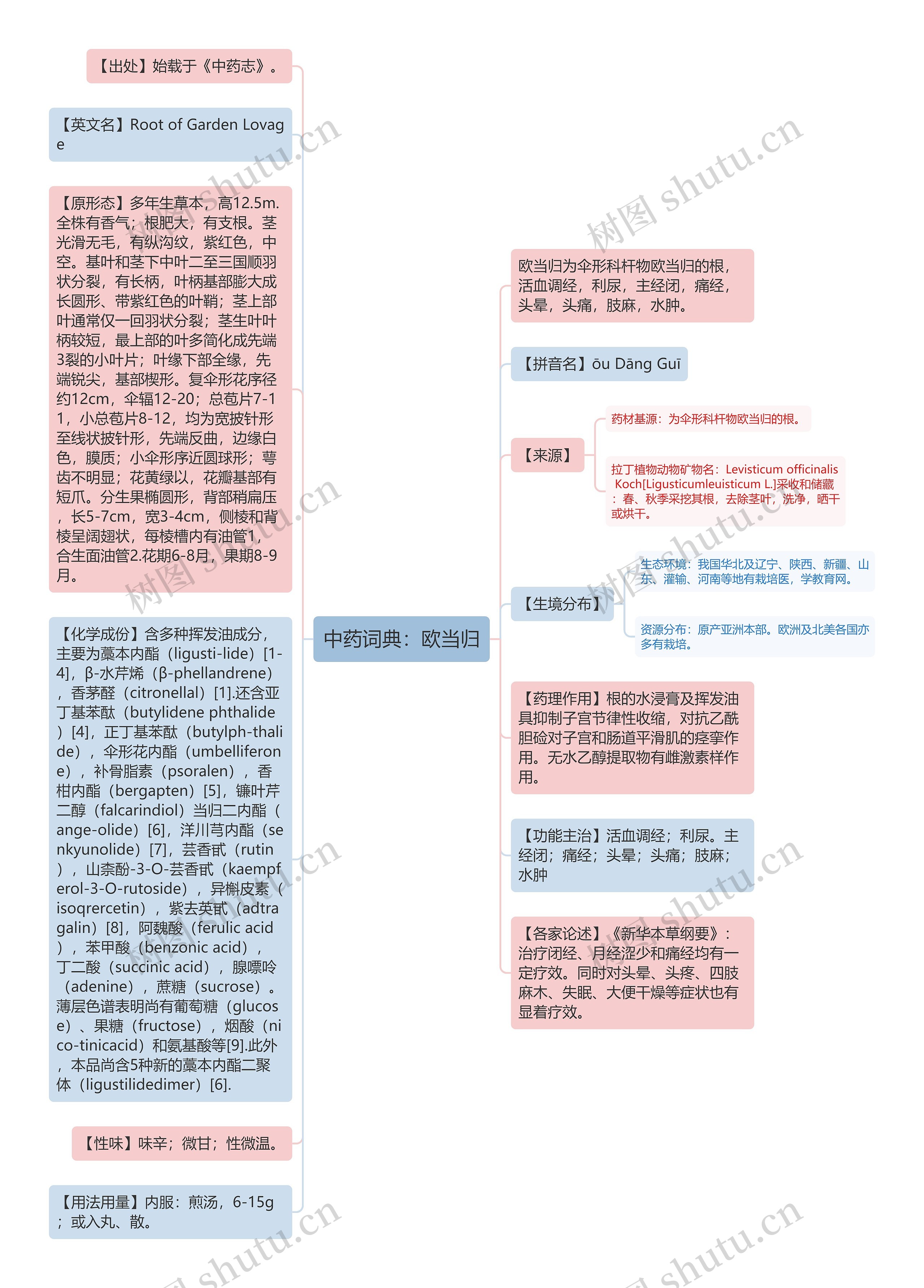 中药词典：欧当归思维导图