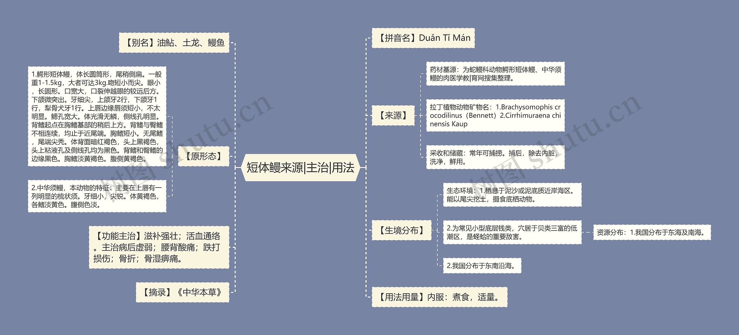 短体鳗来源|主治|用法 短体鳗来源|主治|用法