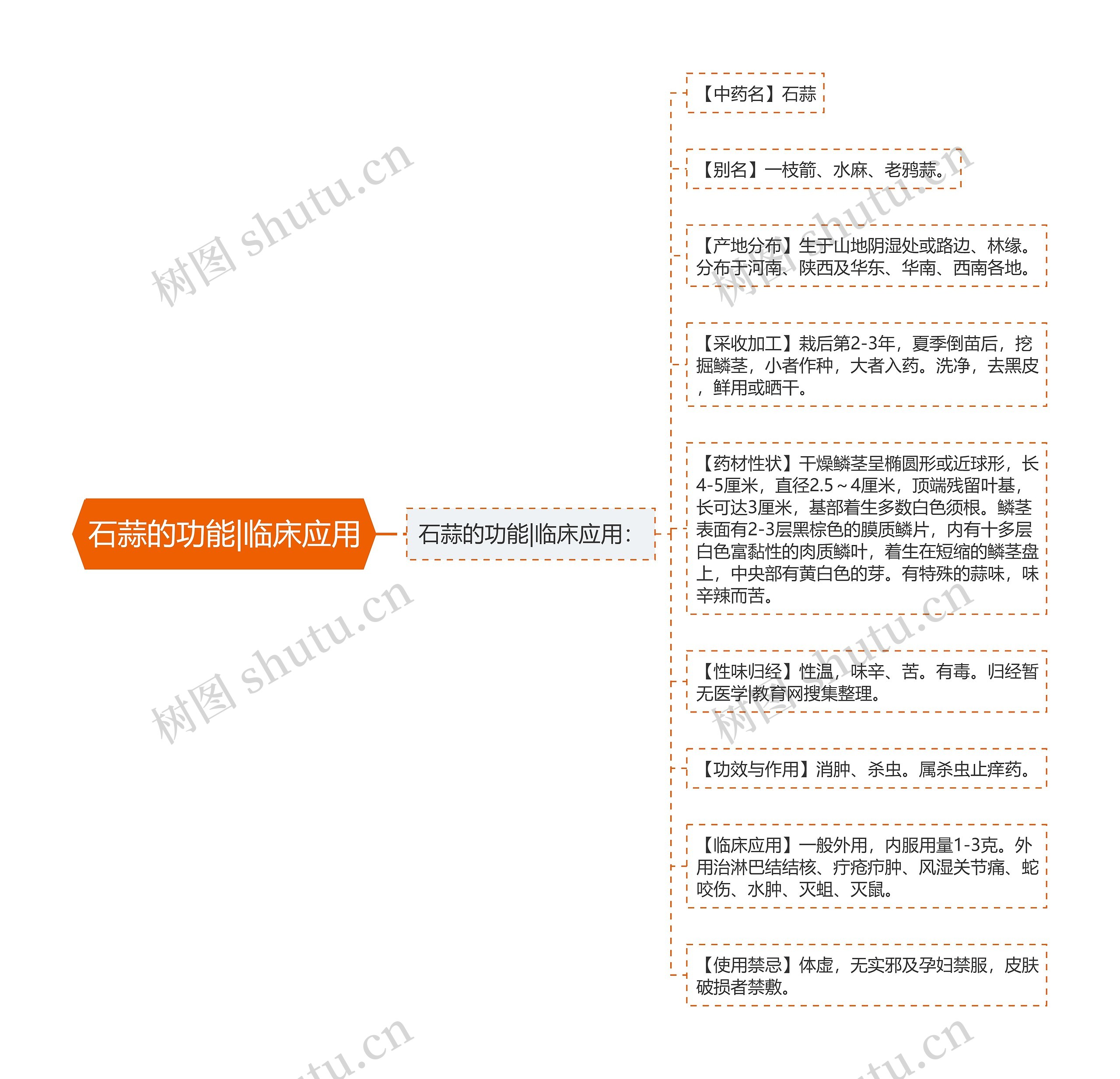 石蒜的功能|临床应用思维导图