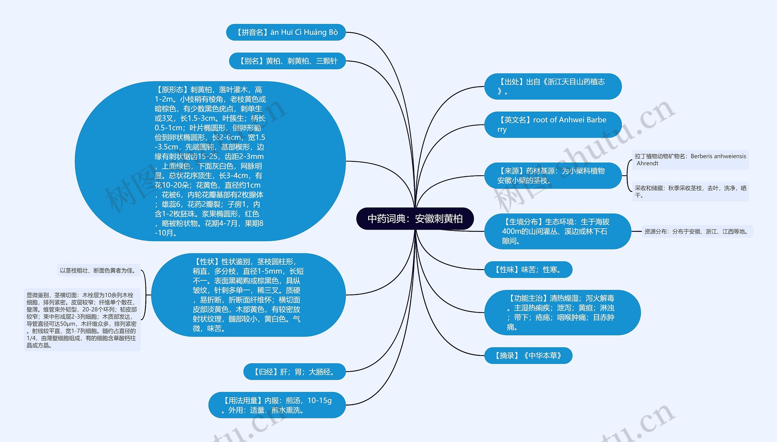 中药词典：安徽刺黄柏