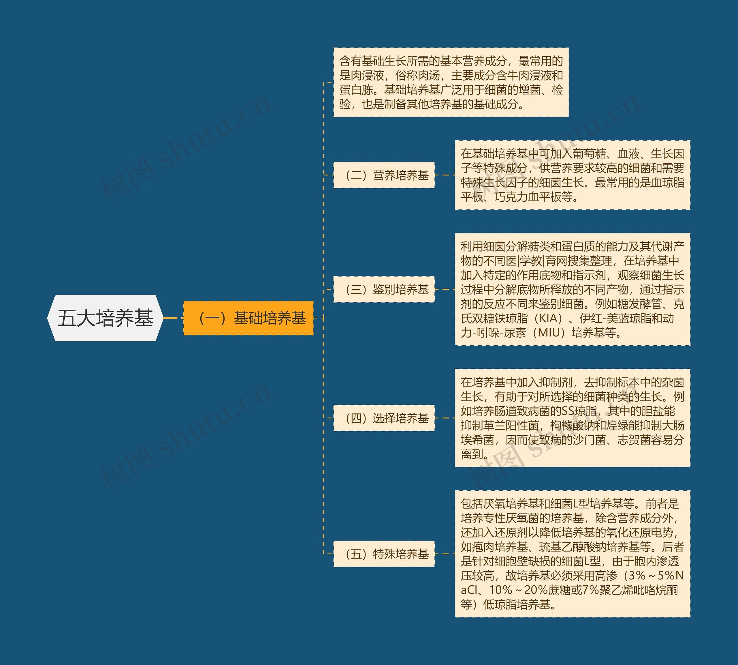 五大培养基 五大培养基