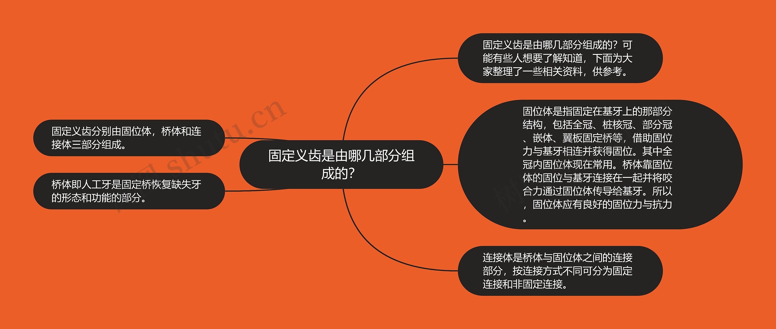 固定义齿是由哪几部分组成的？思维导图