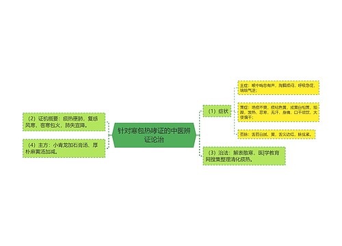 针对寒包热哮证的中医辨证论治