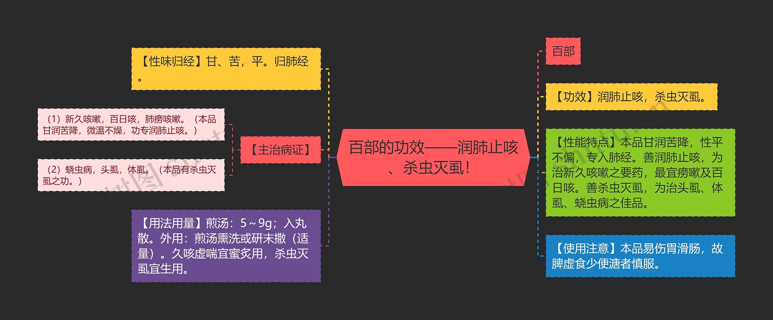 百部的功效——润肺止咳、杀虫灭虱！思维导图