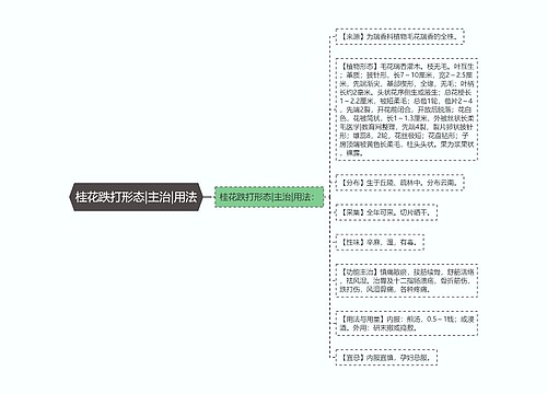 桂花跌打形态|主治|用法