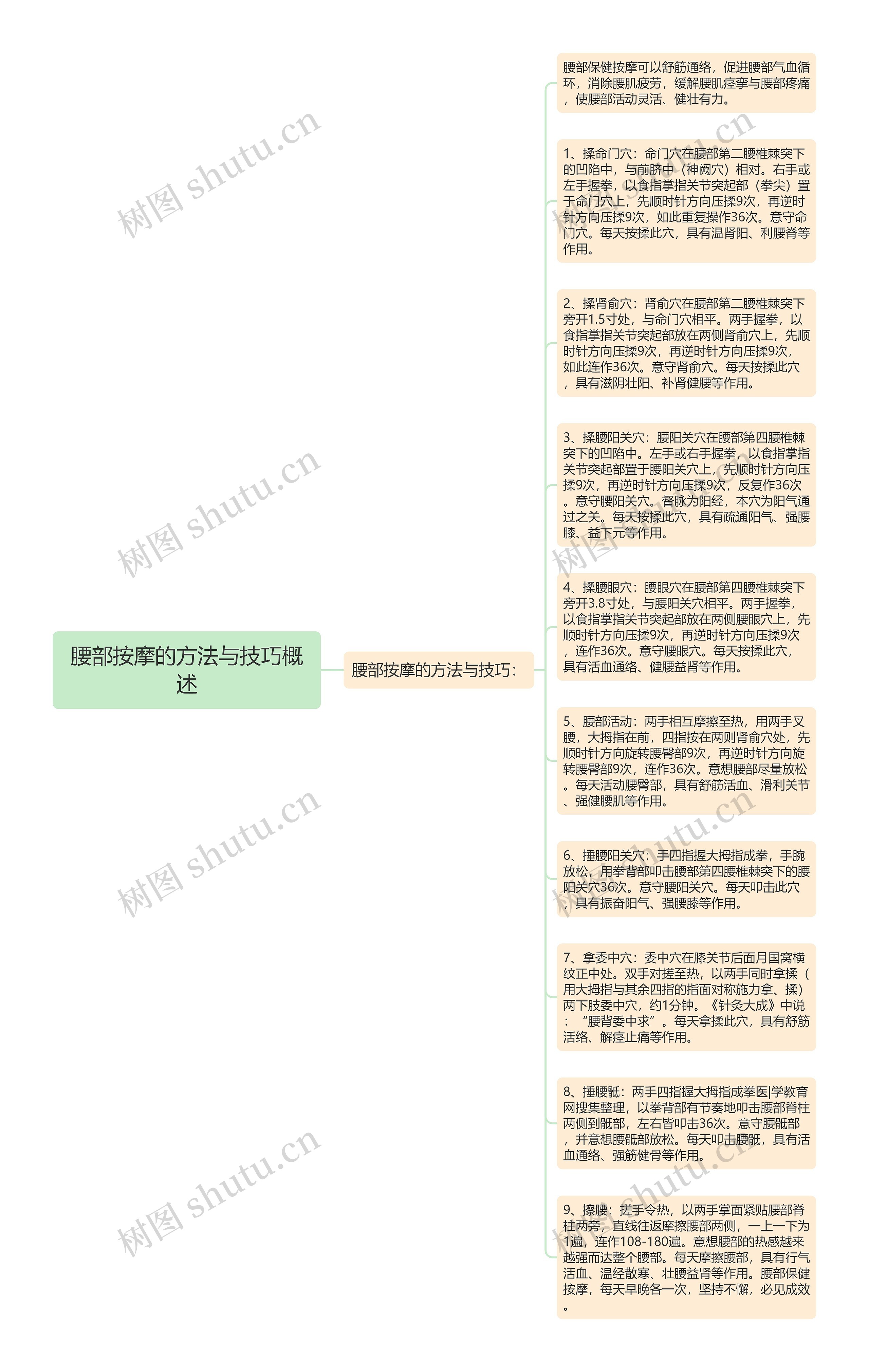 腰部按摩的方法与技巧概述思维导图