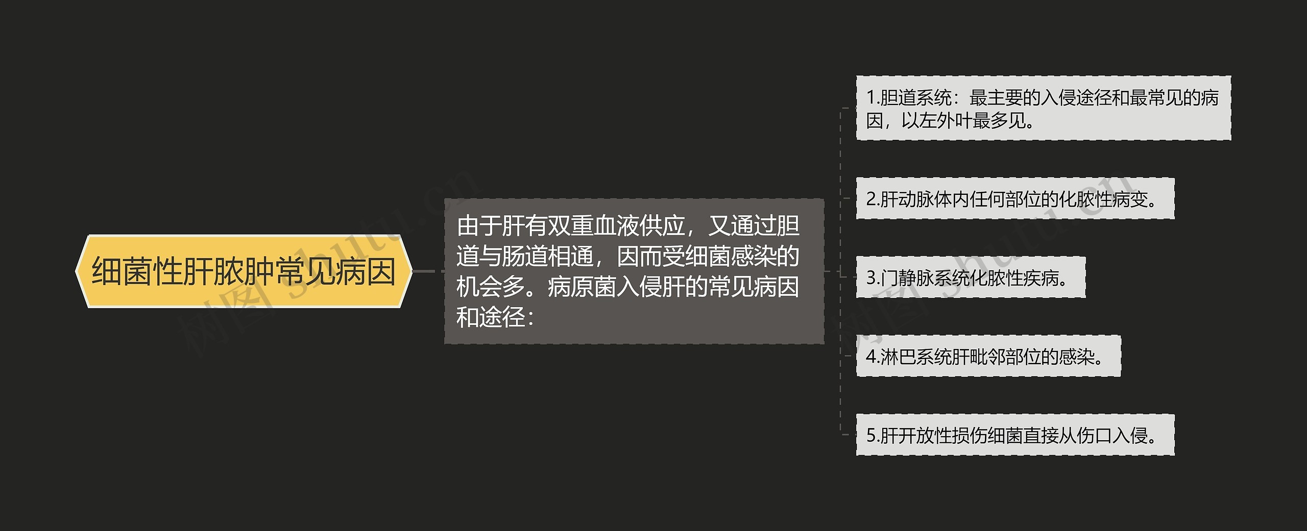 细菌性肝脓肿常见病因思维导图