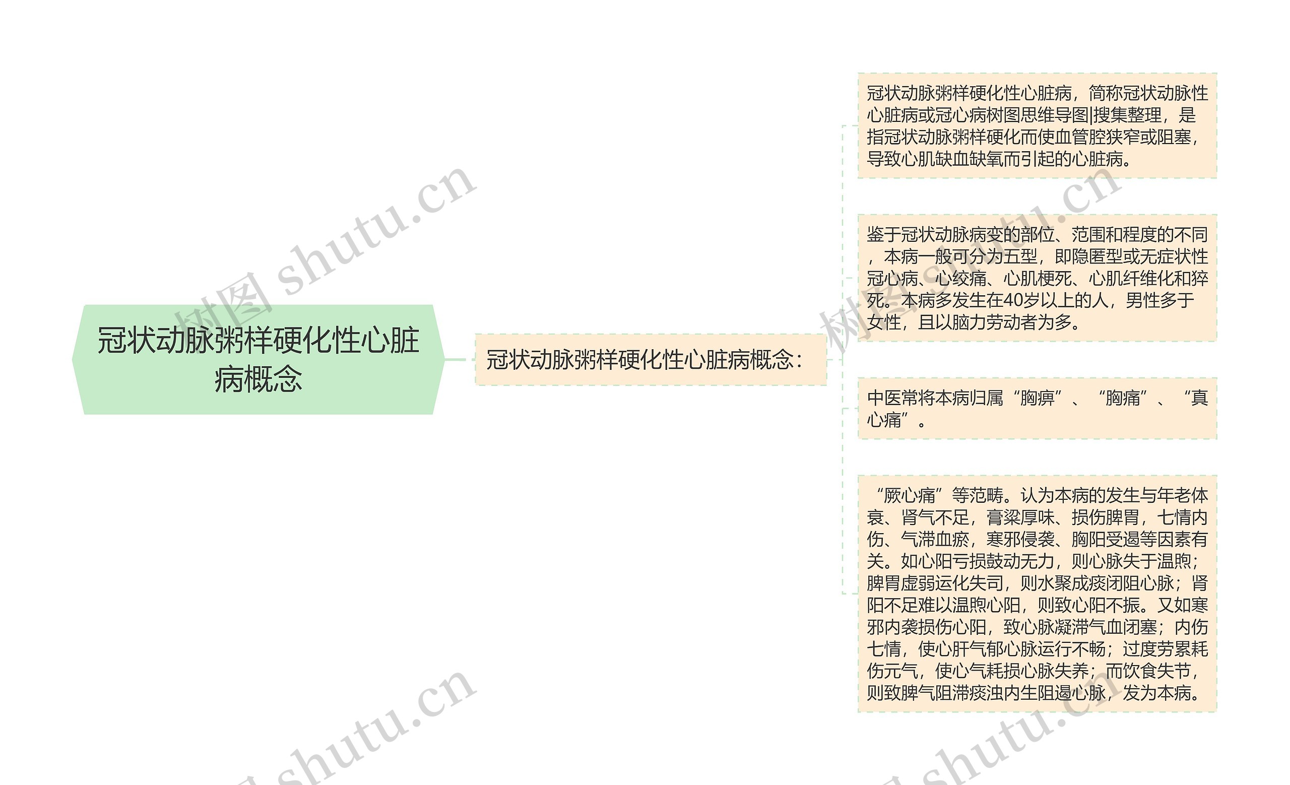 冠状动脉粥样硬化性心脏病概念思维导图