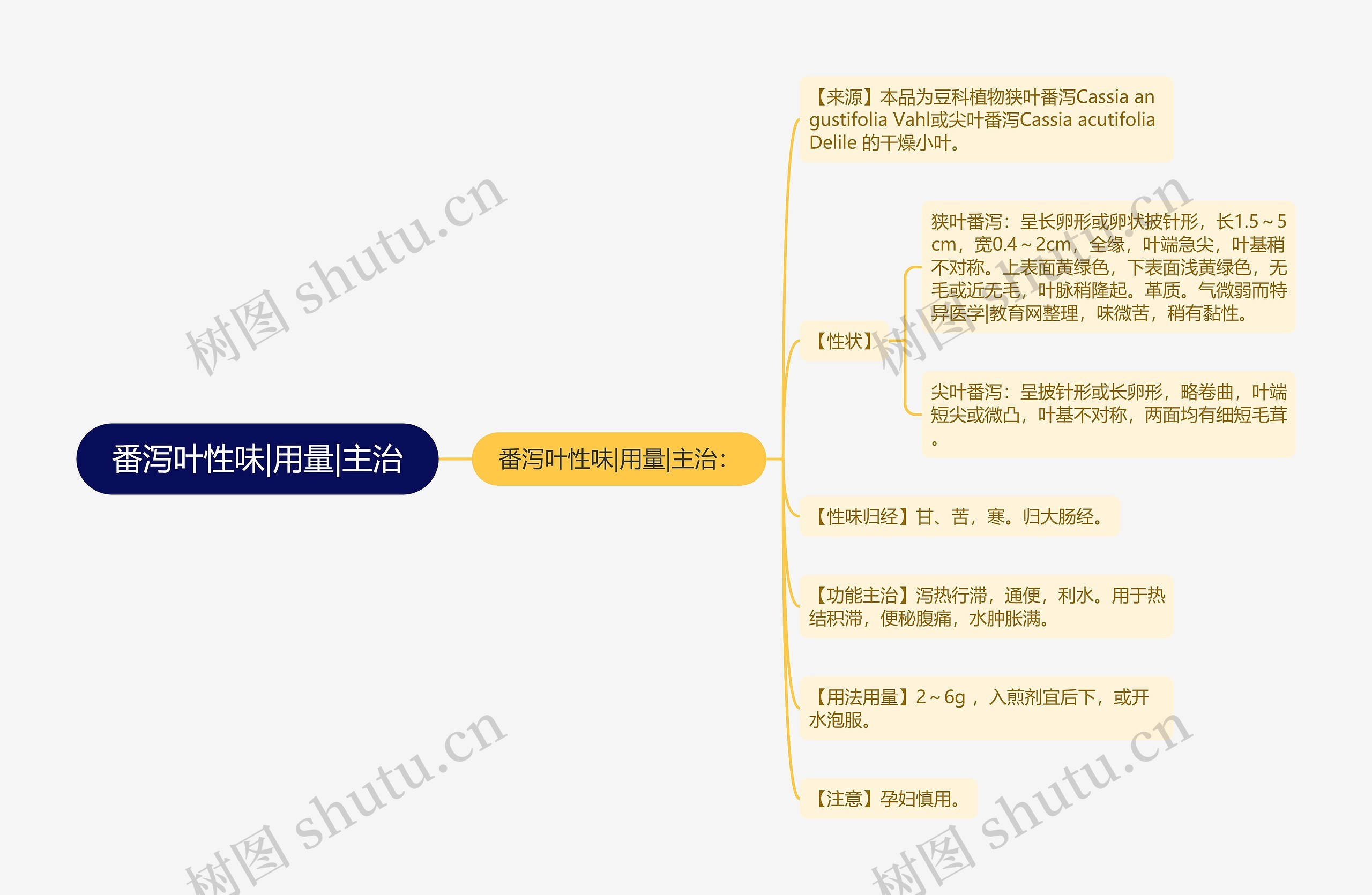 番泻叶性味|用量|主治思维导图