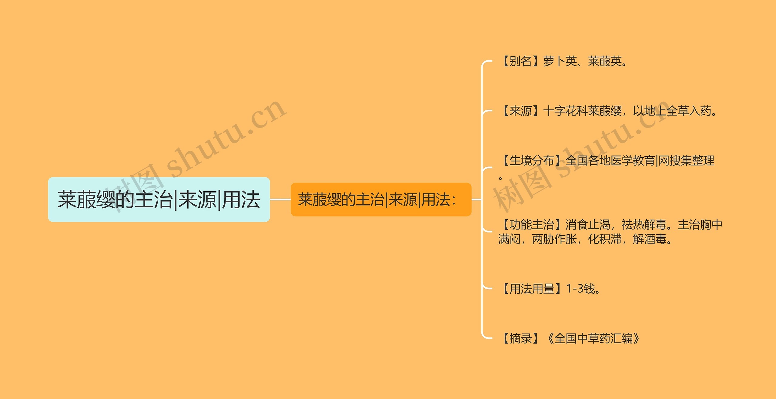 莱菔缨的主治|来源|用法思维导图