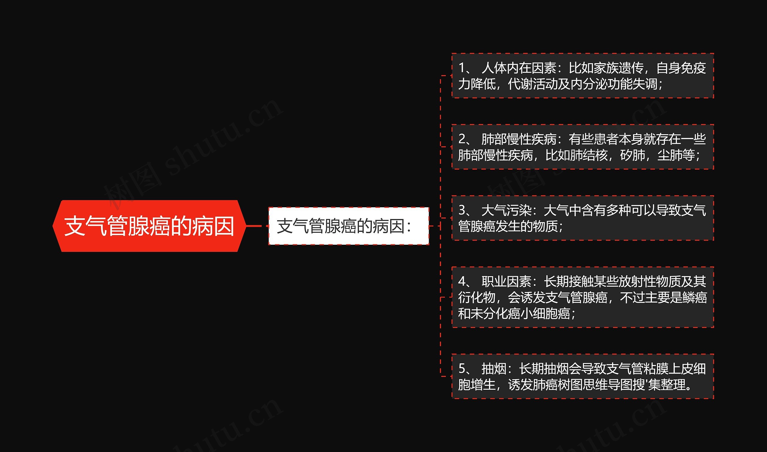 支气管腺癌的病因思维导图