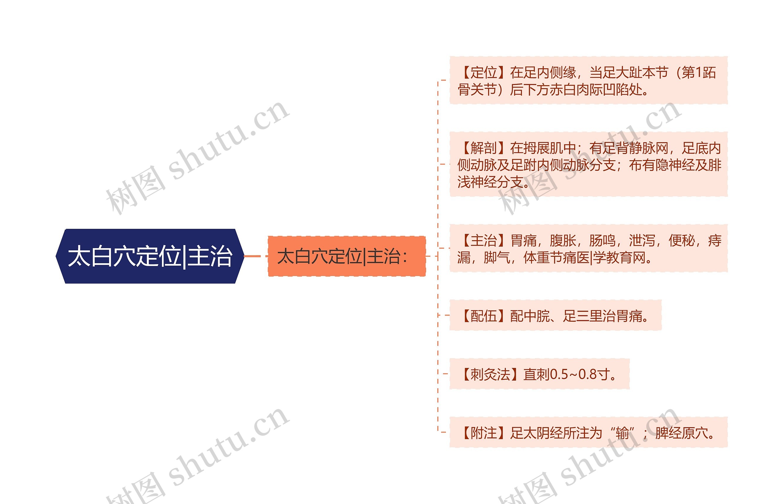 太白穴定位|主治 太白穴定位|主治