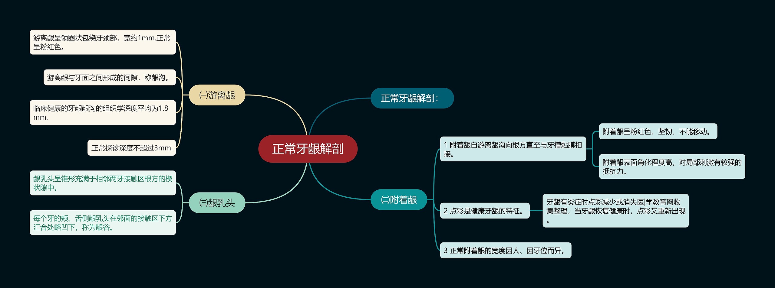 正常牙龈解剖思维导图