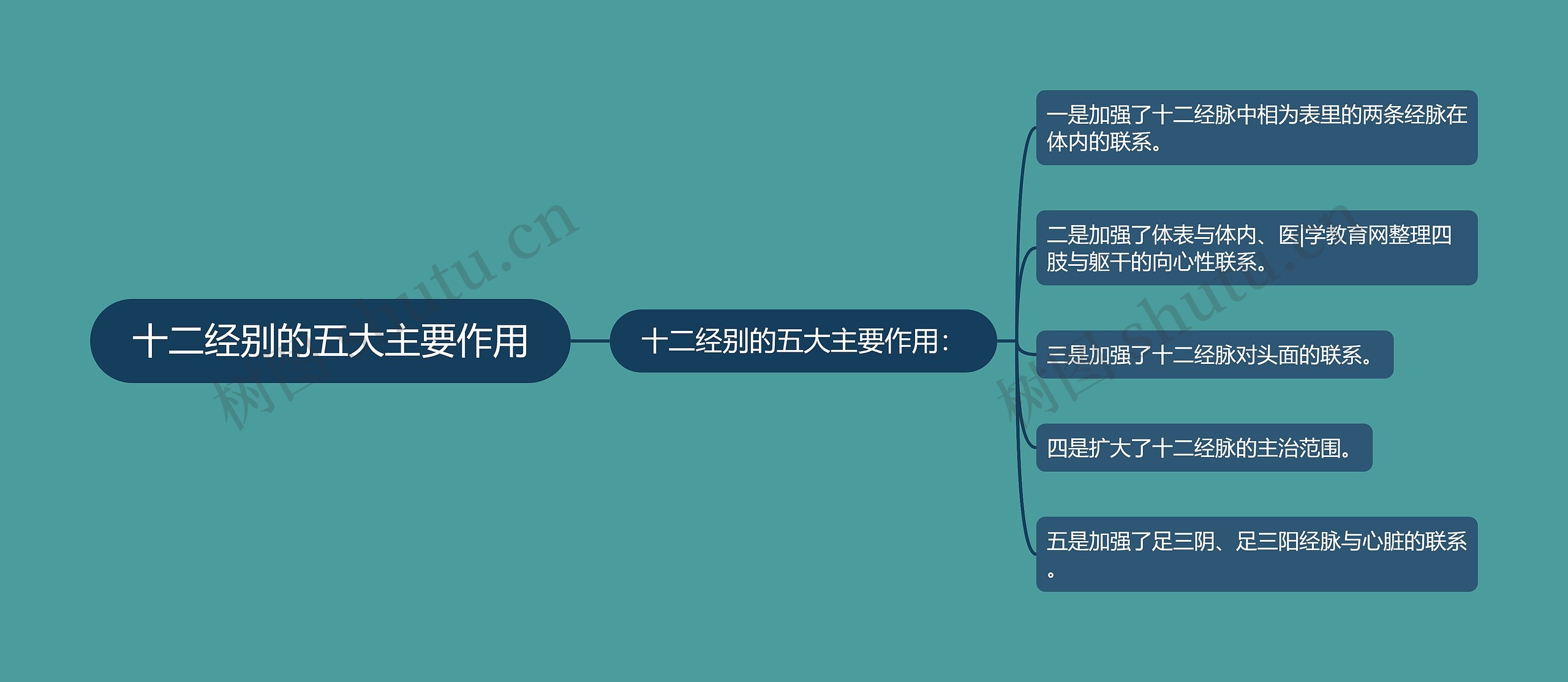 十二经别的五大主要作用思维导图