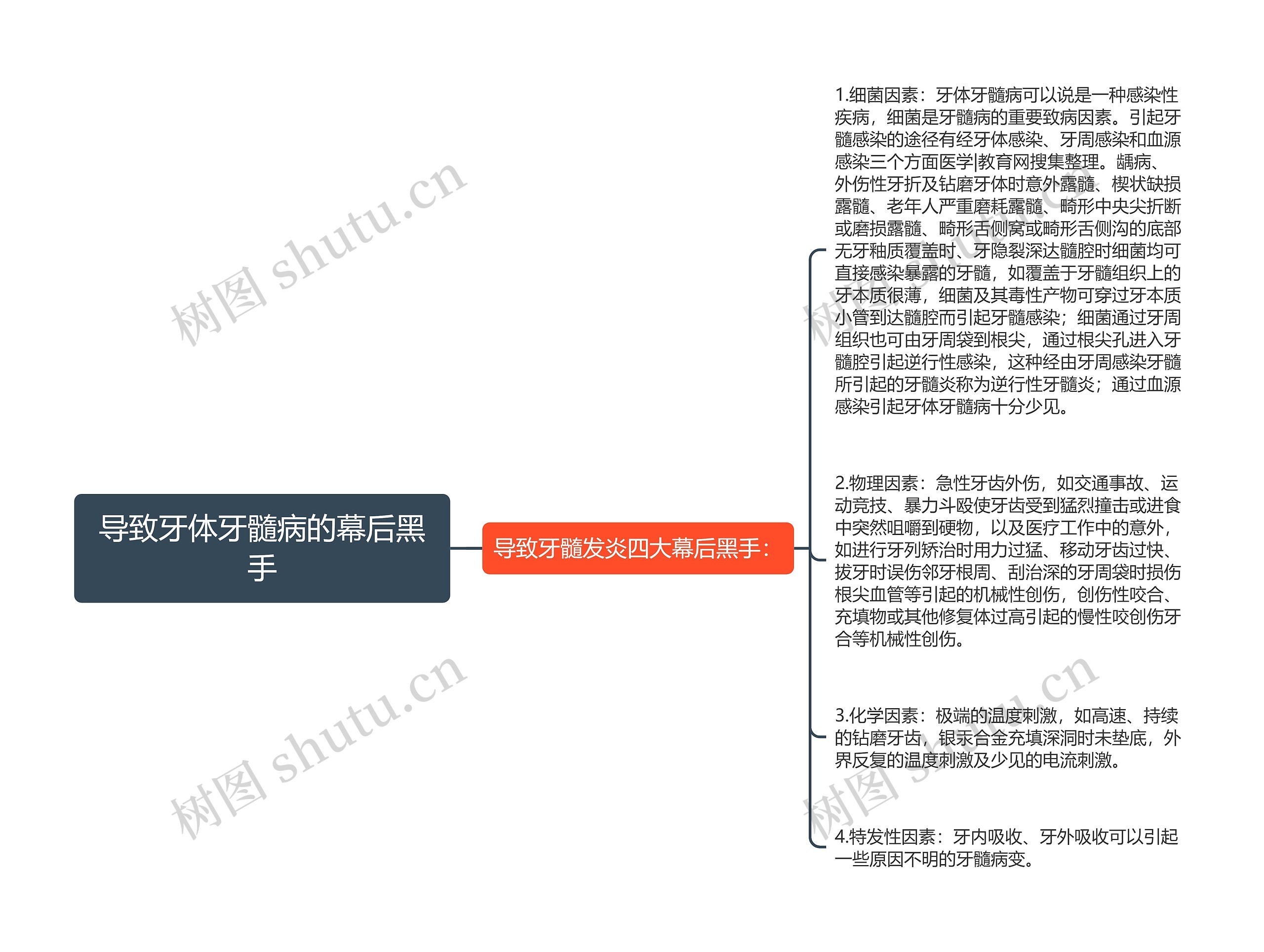 导致牙体牙髓病的幕后黑手
