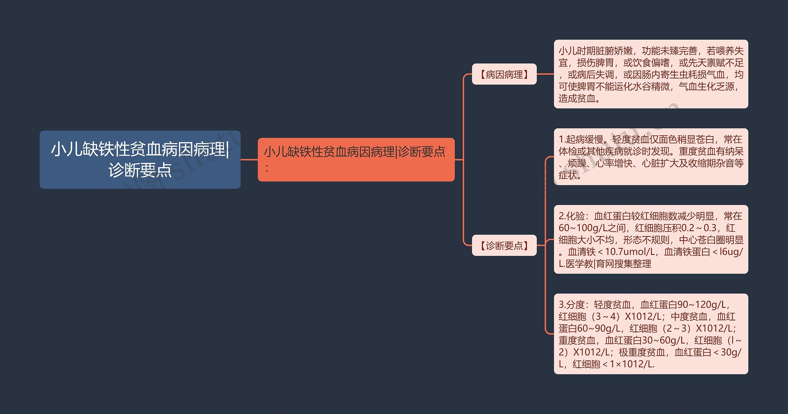 小儿缺铁性贫血病因病理|诊断要点