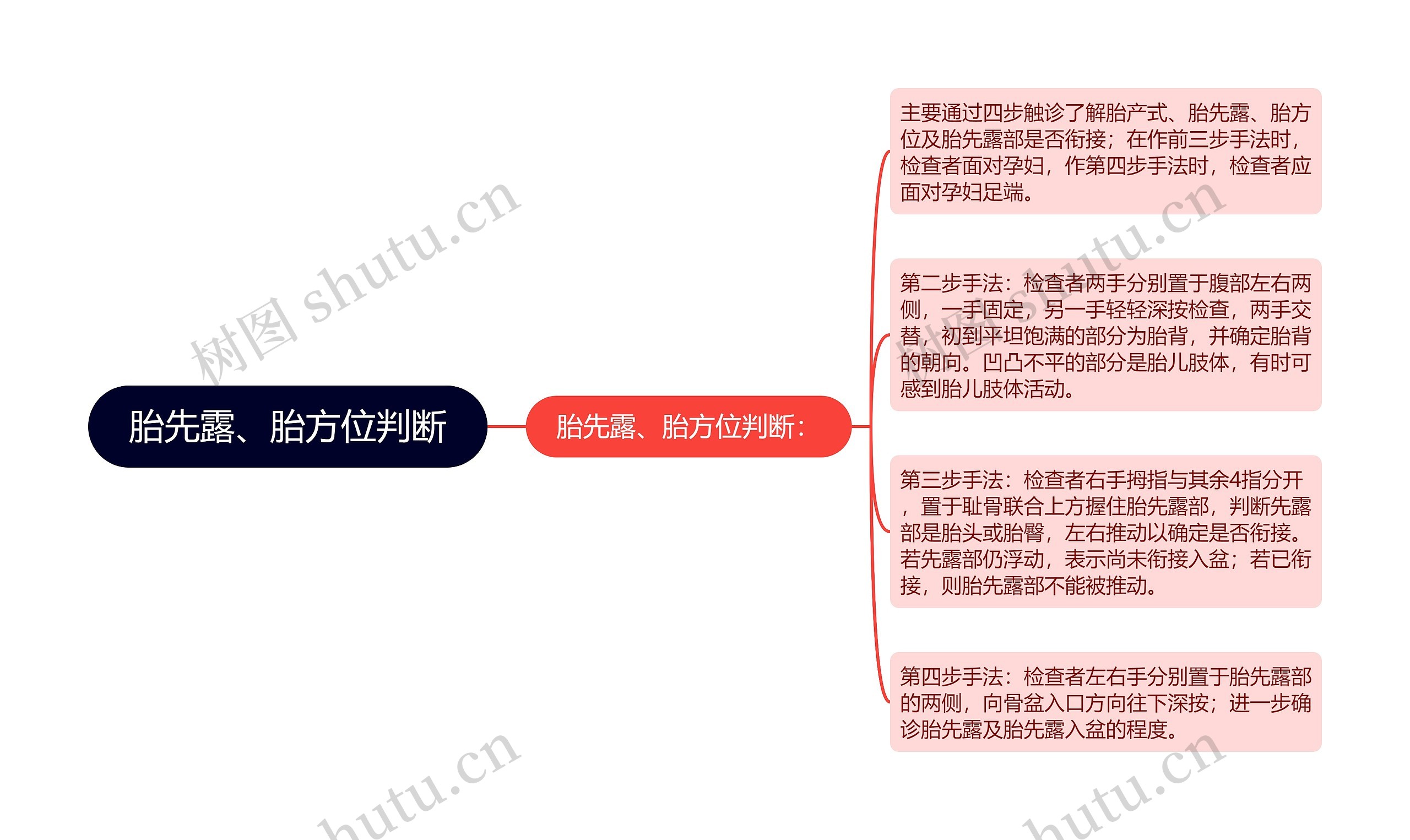 胎先露、胎方位判断思维导图