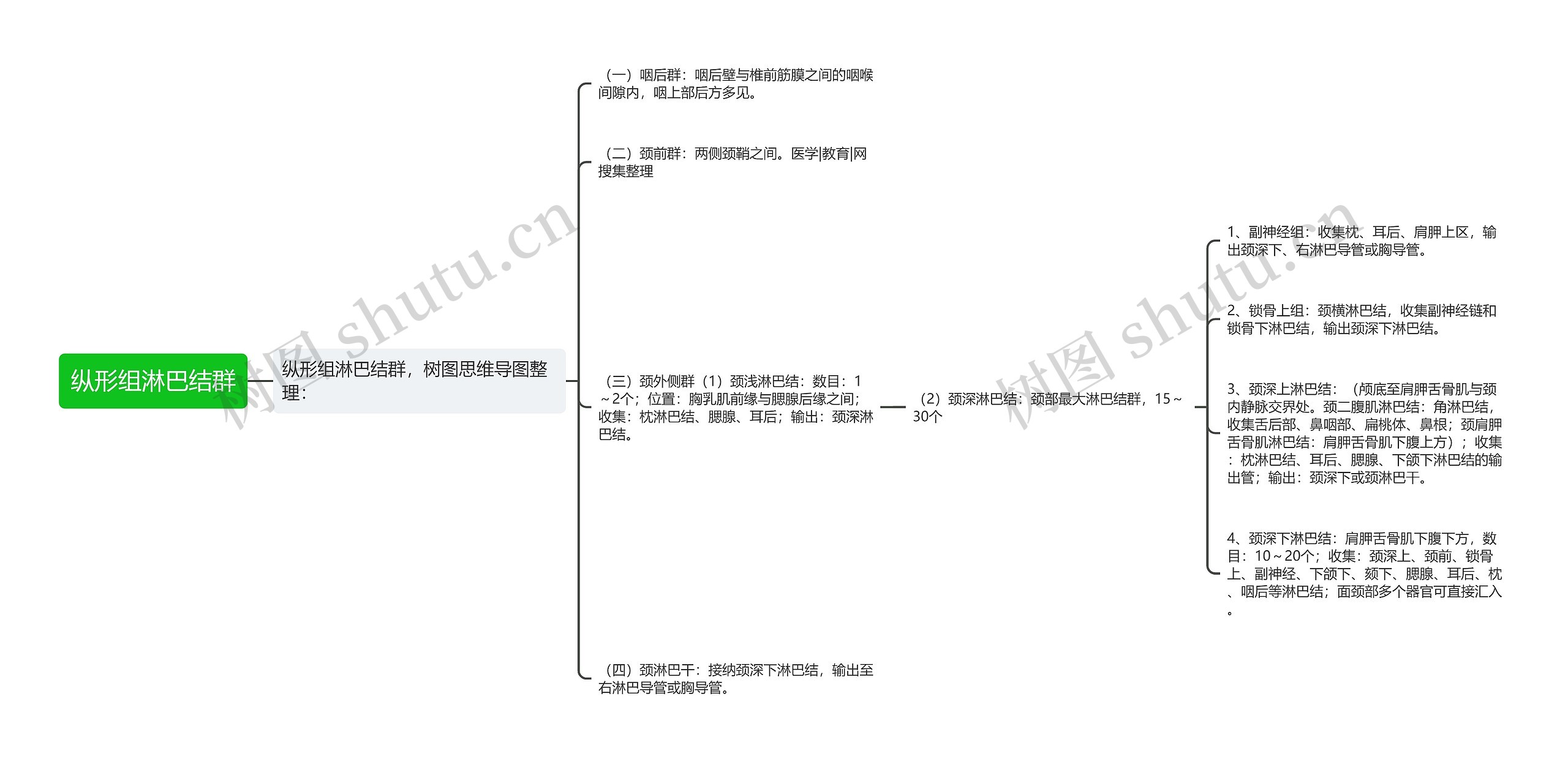 纵形组淋巴结群思维导图