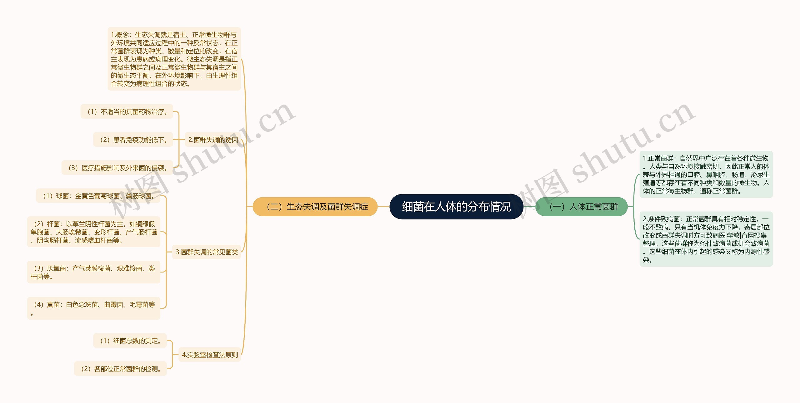 细菌在人体的分布情况思维导图