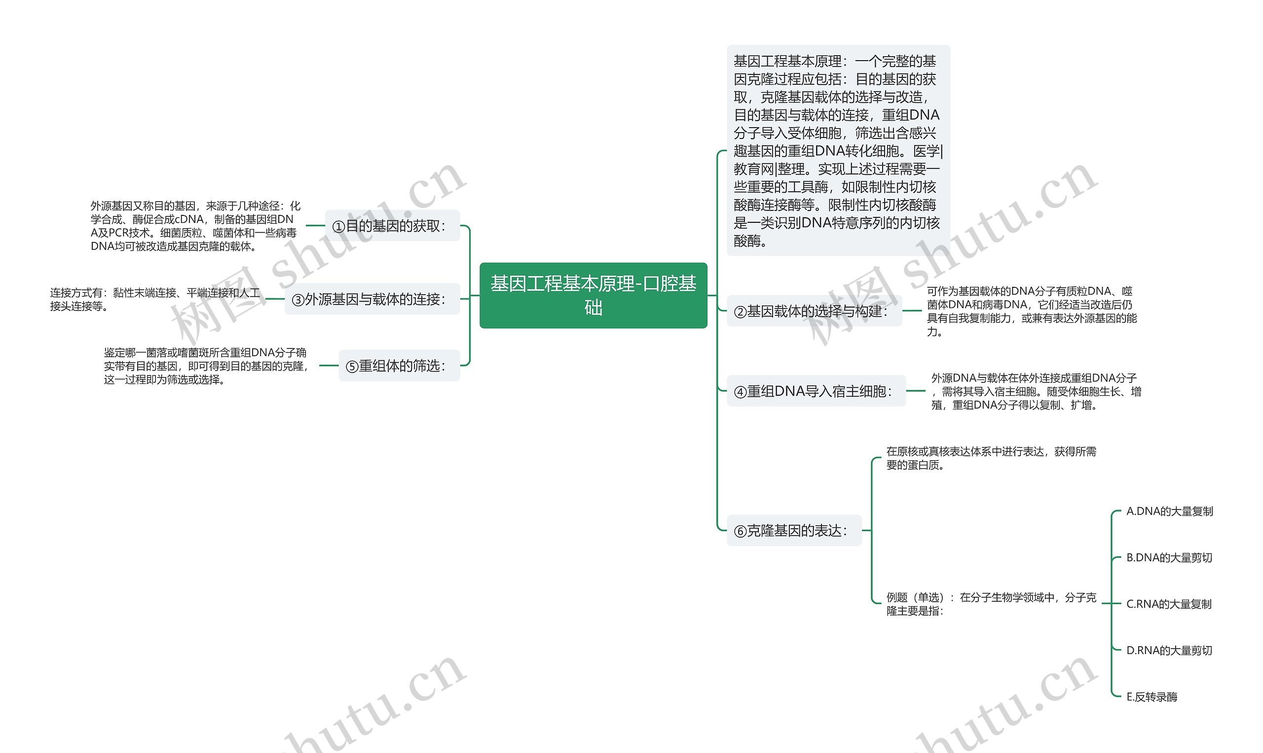 基因工程基本原理-口腔基础思维导图