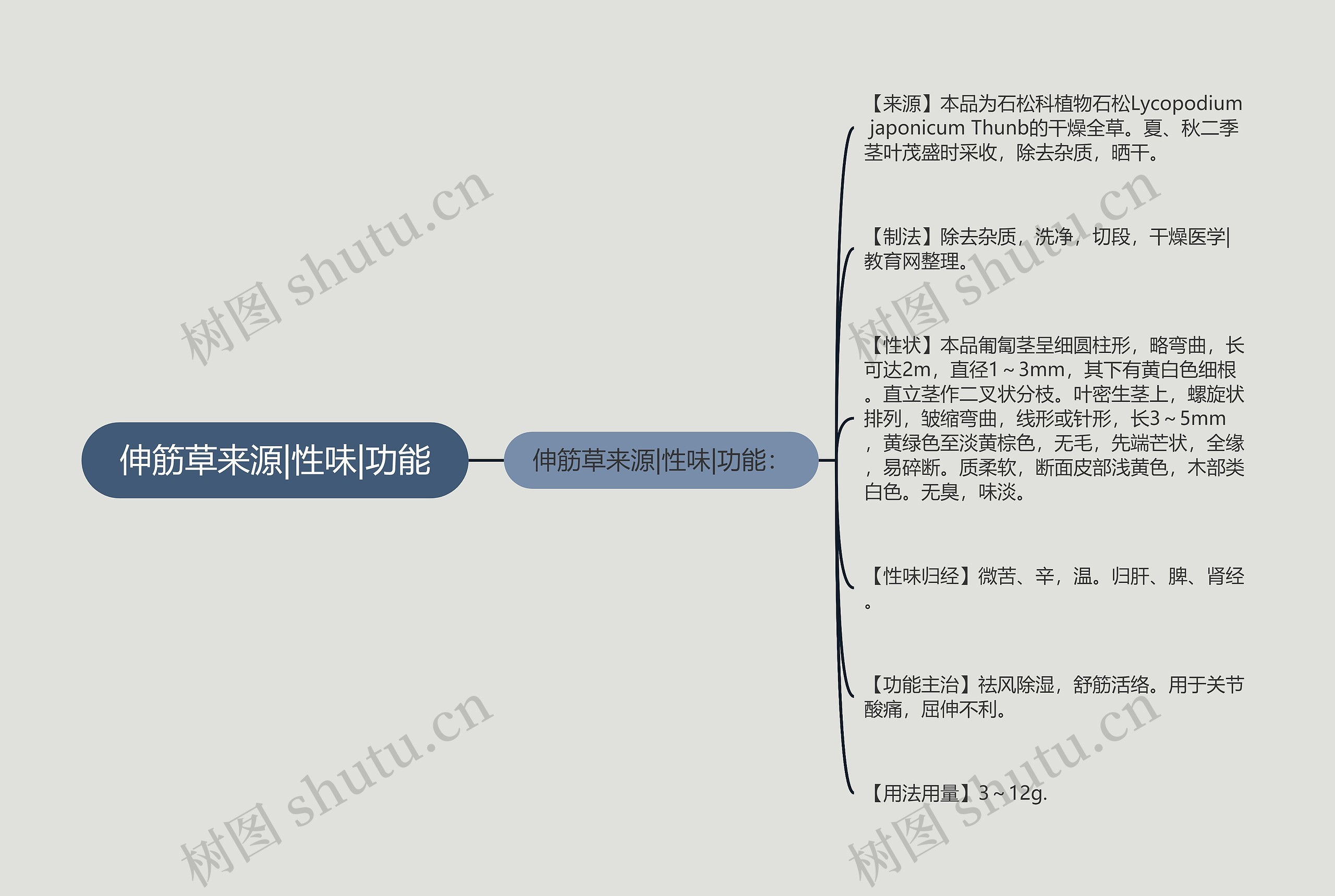 伸筋草来源|性味|功能思维导图