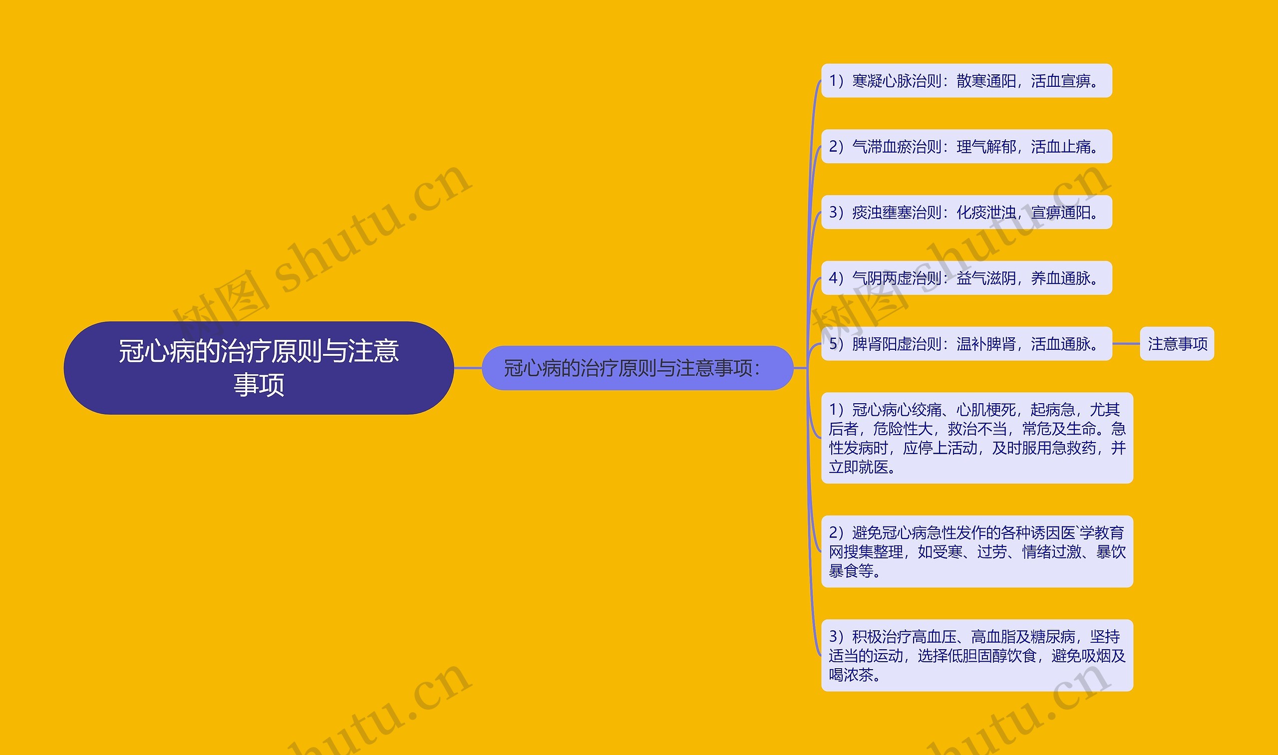 冠心病的治疗原则与注意事项思维导图