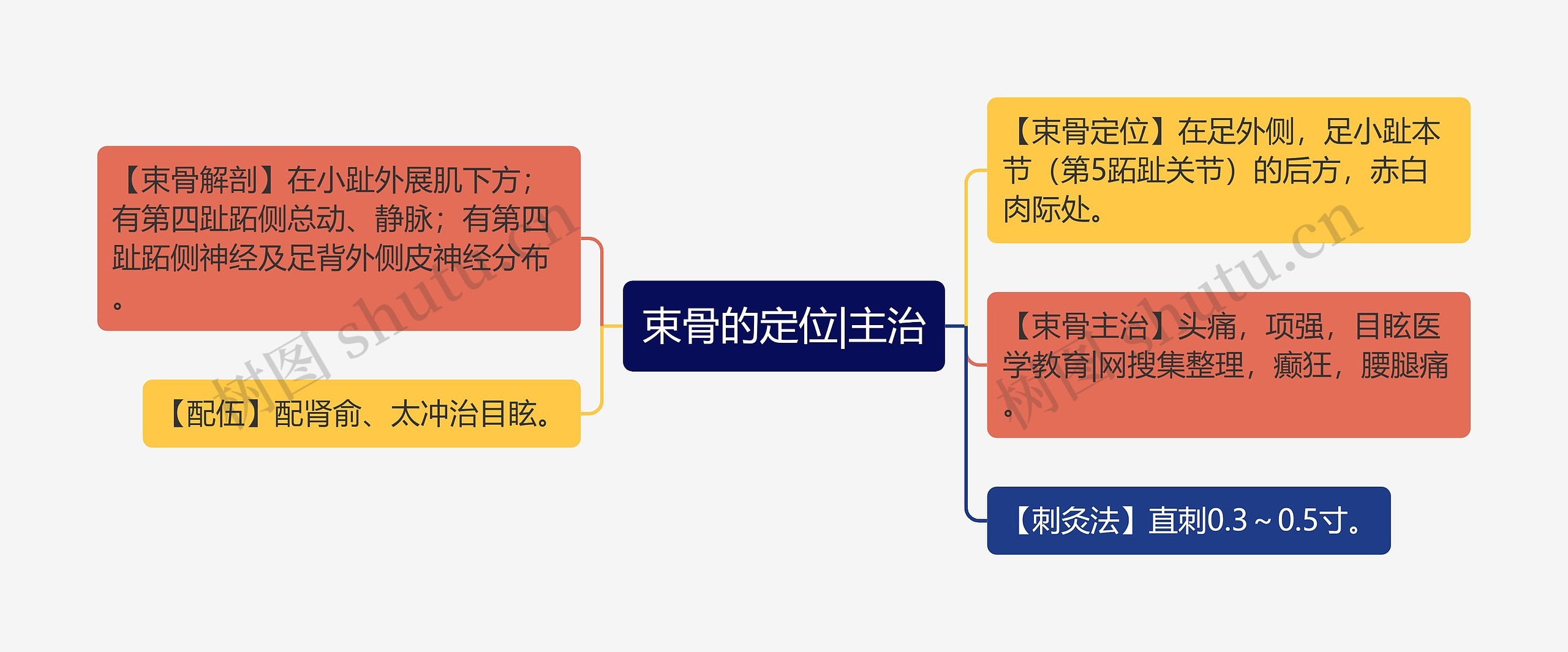 束骨的定位|主治思维导图