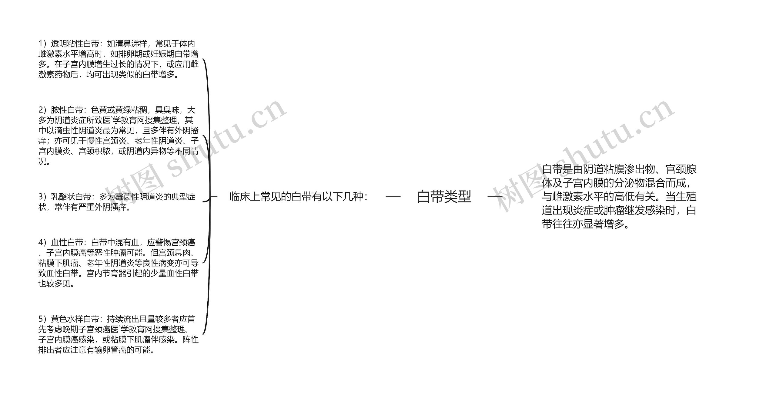 白带类型