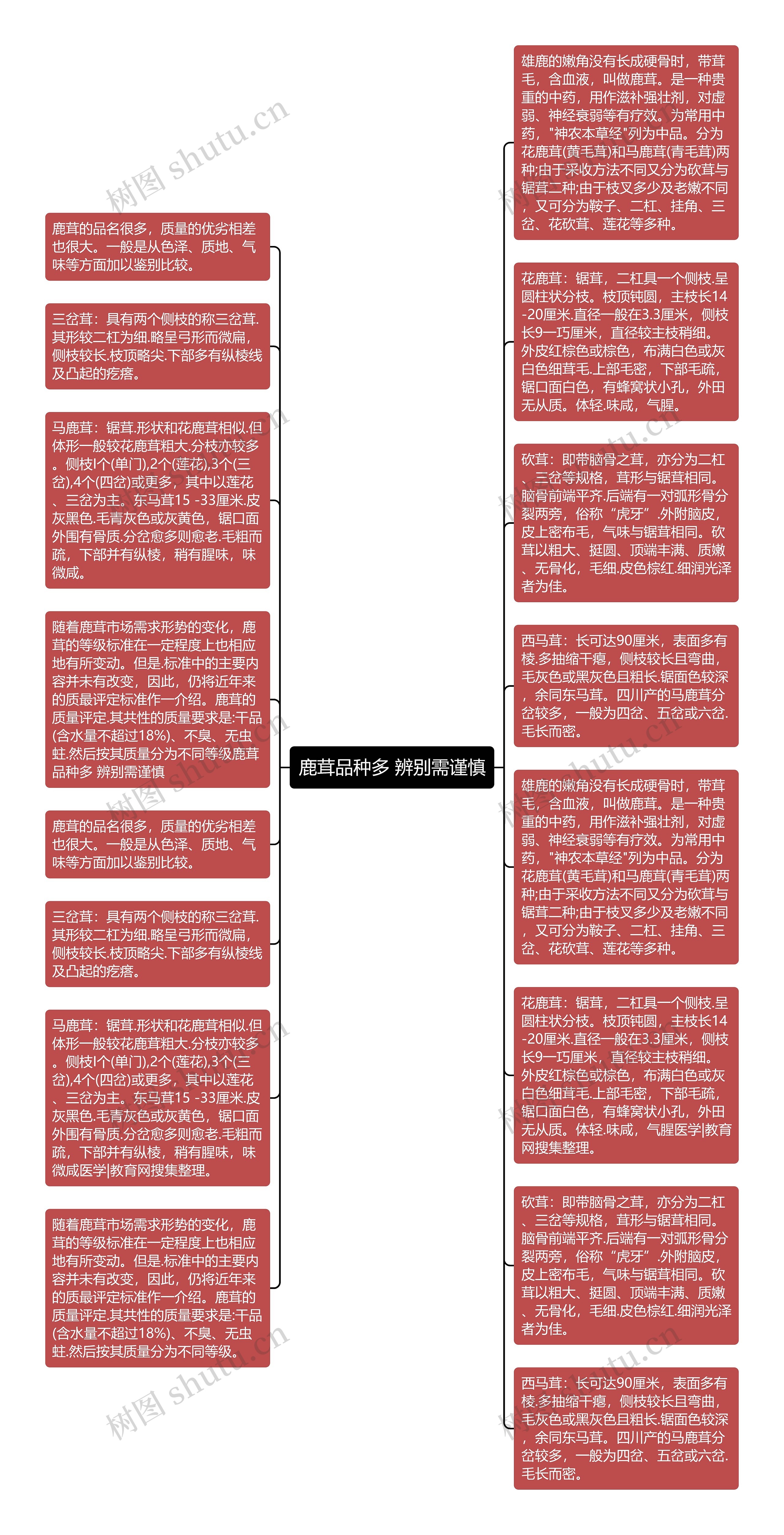 鹿茸品种多 辨别需谨慎思维导图