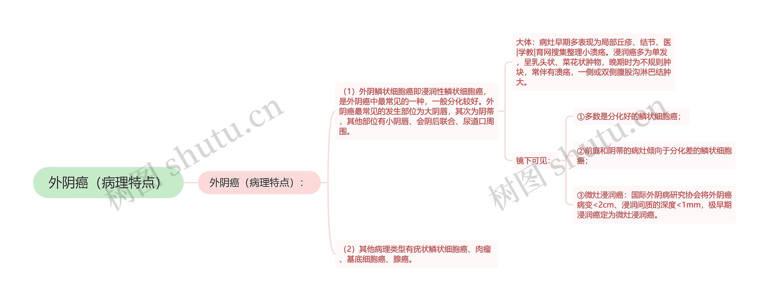 外阴癌（病理特点）思维导图