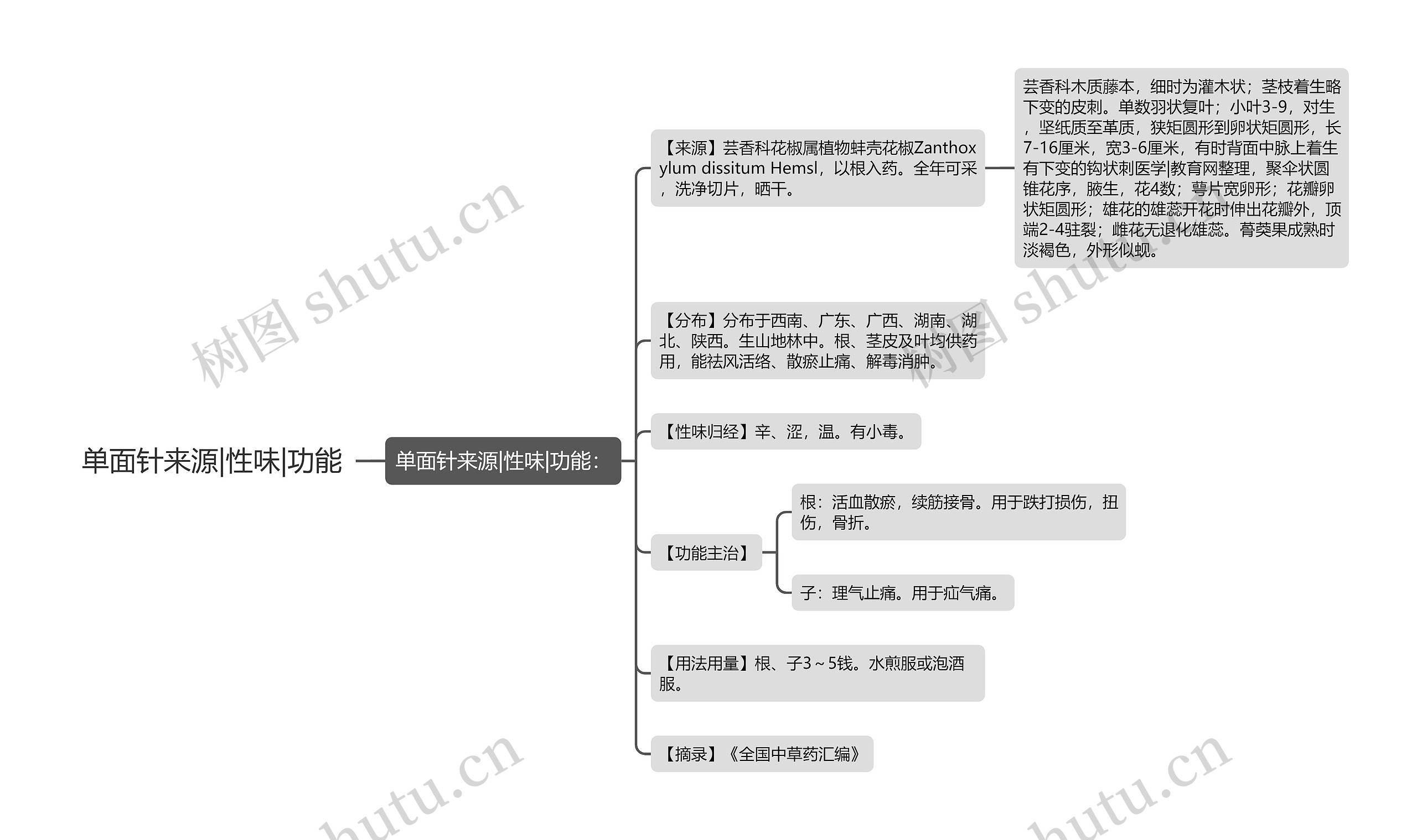 单面针来源|性味|功能思维导图