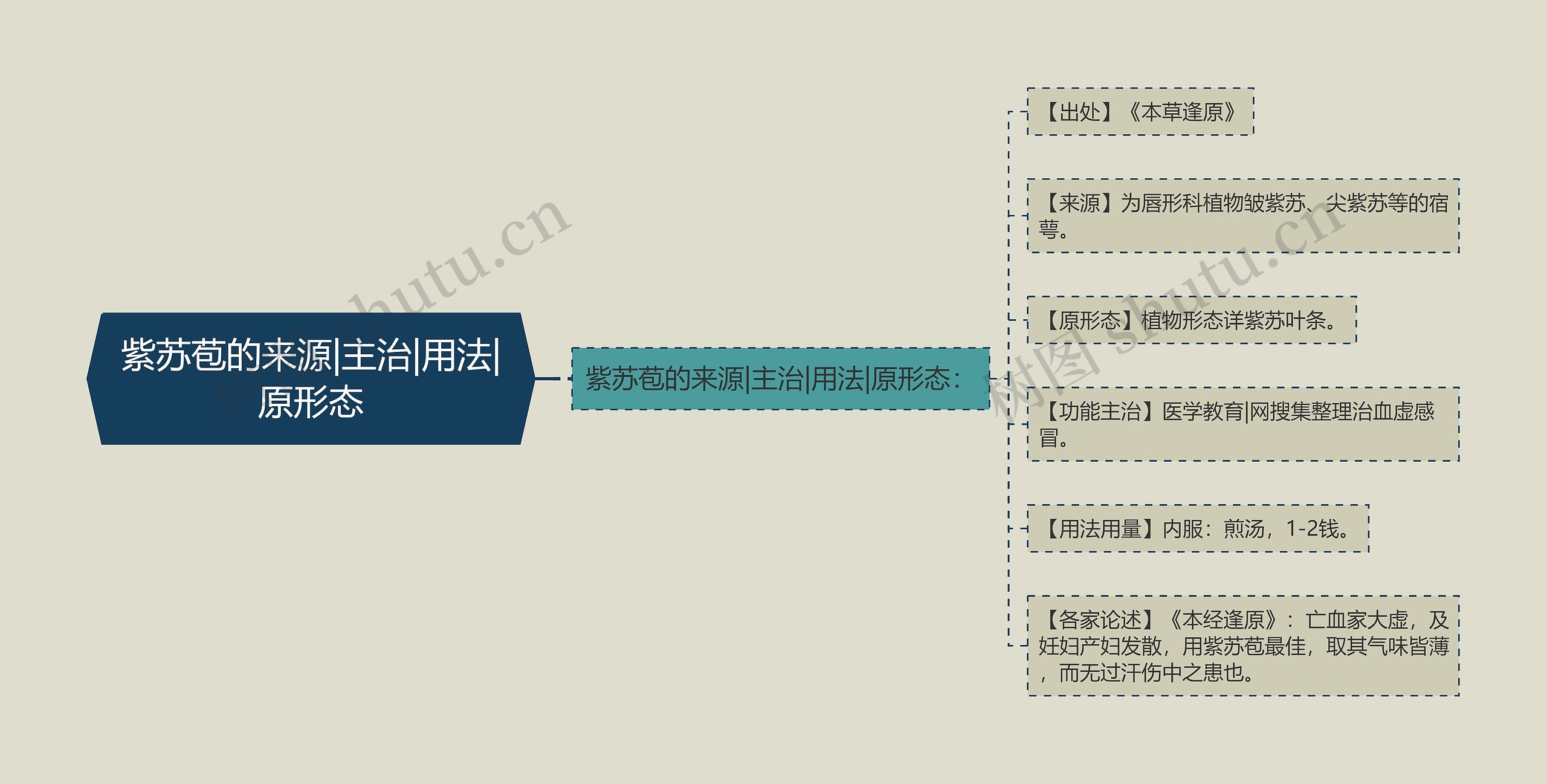 紫苏苞的来源|主治|用法|原形态思维导图