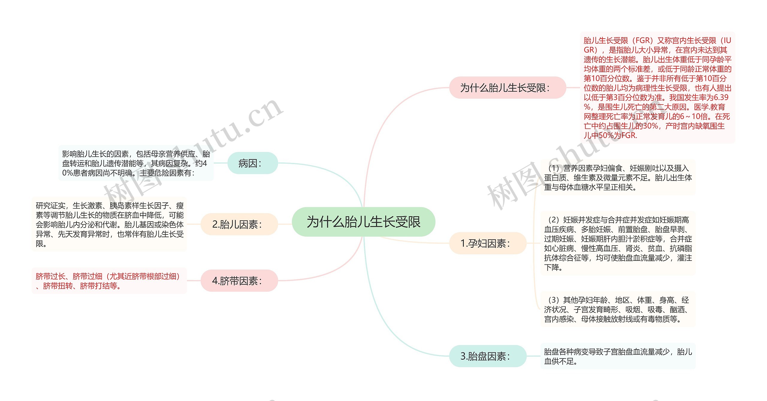 为什么胎儿生长受限思维导图