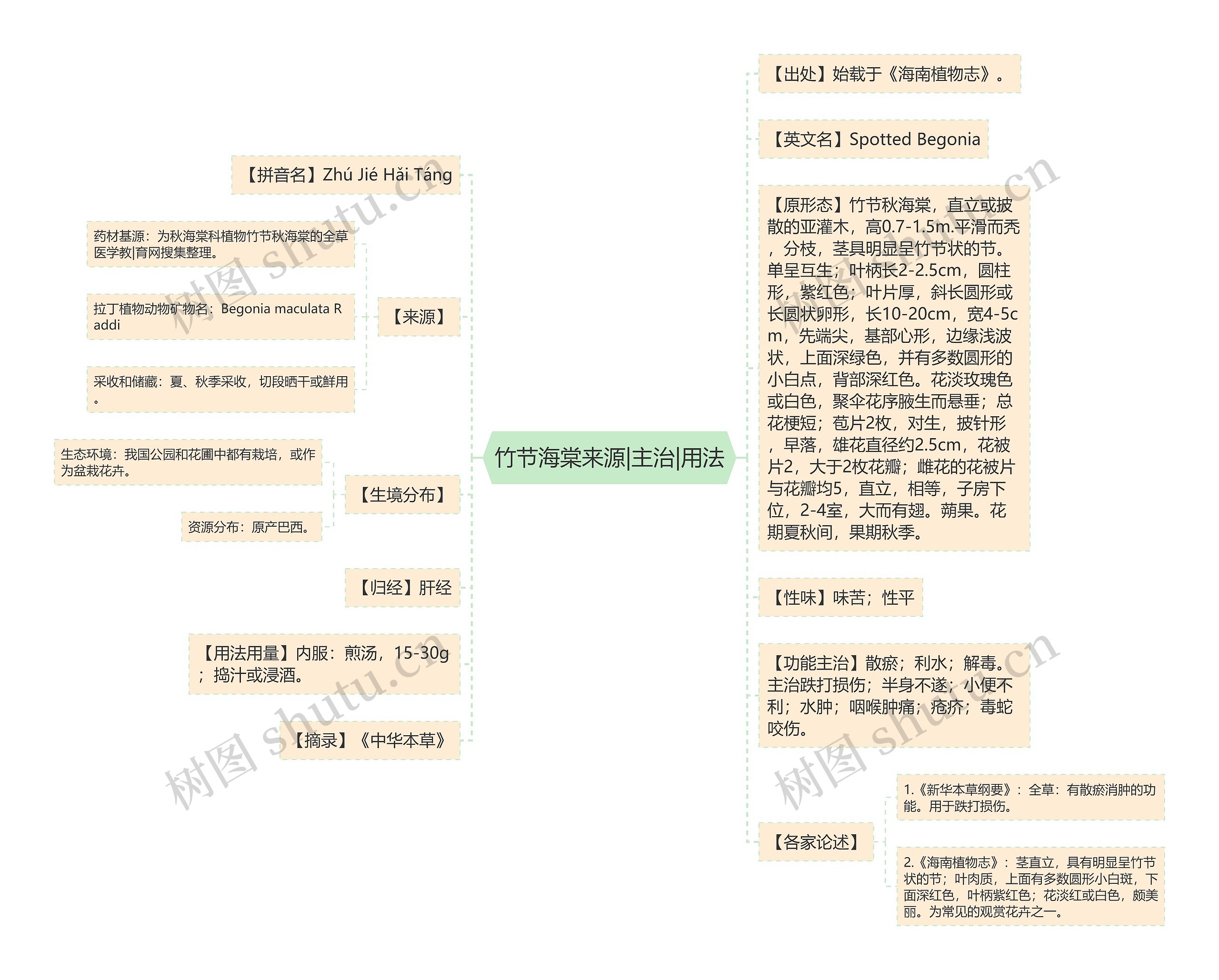 竹节海棠来源|主治|用法思维导图
