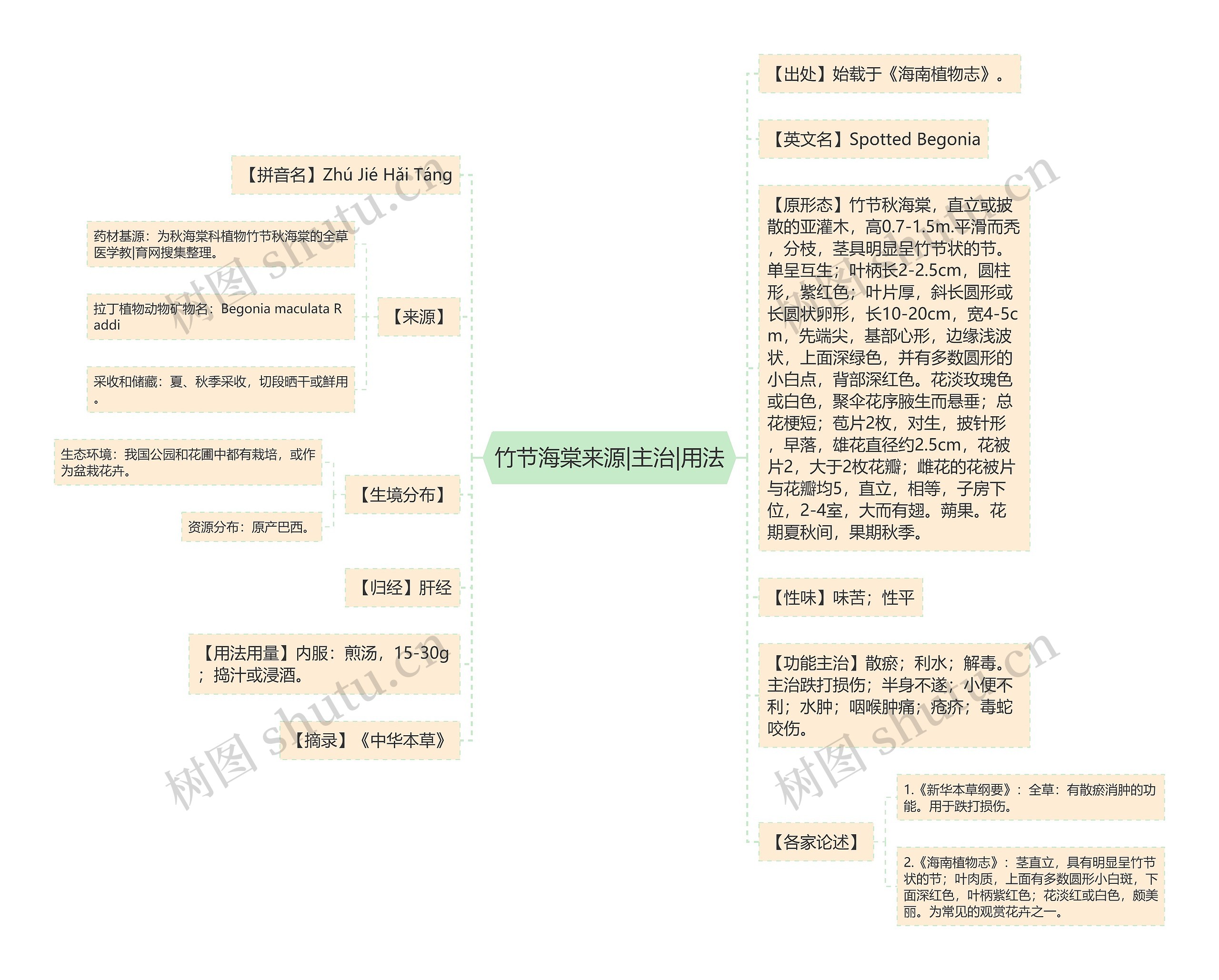 竹节海棠来源|主治|用法 竹节海棠来源|主治|用法