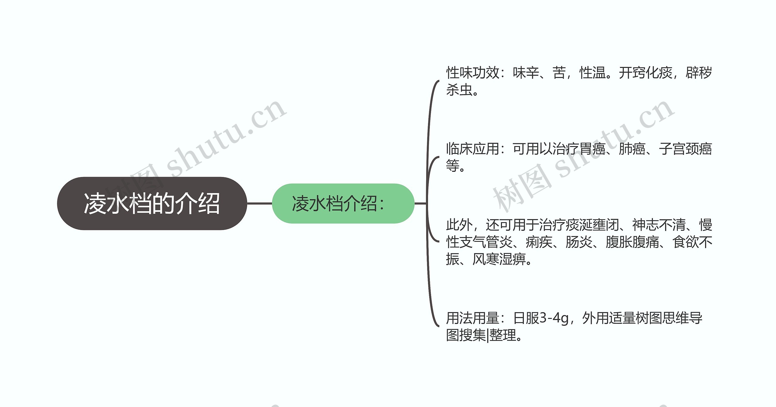 凌水档的介绍思维导图