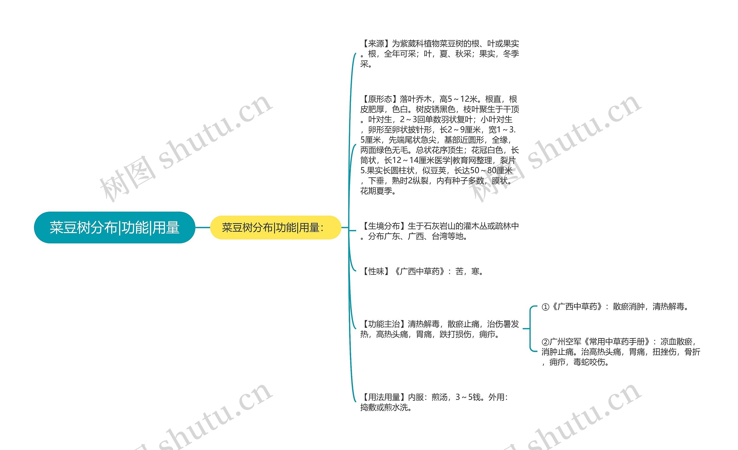 菜豆树分布|功能|用量思维导图