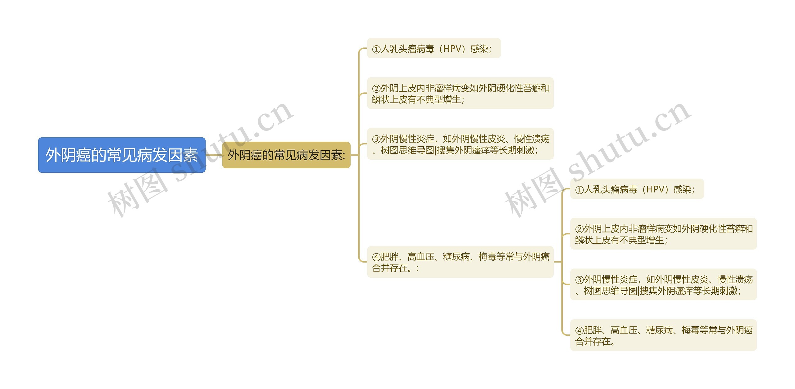 外阴癌的常见病发因素思维导图