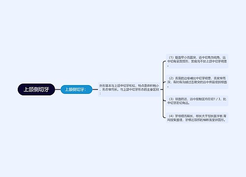 上颌侧切牙