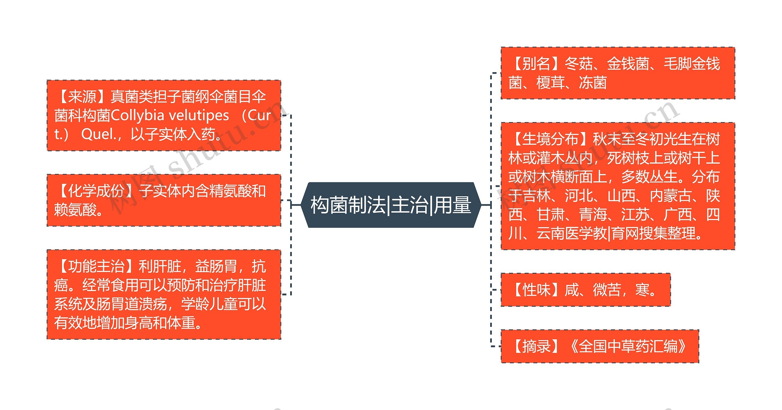 构菌制法|主治|用量思维导图